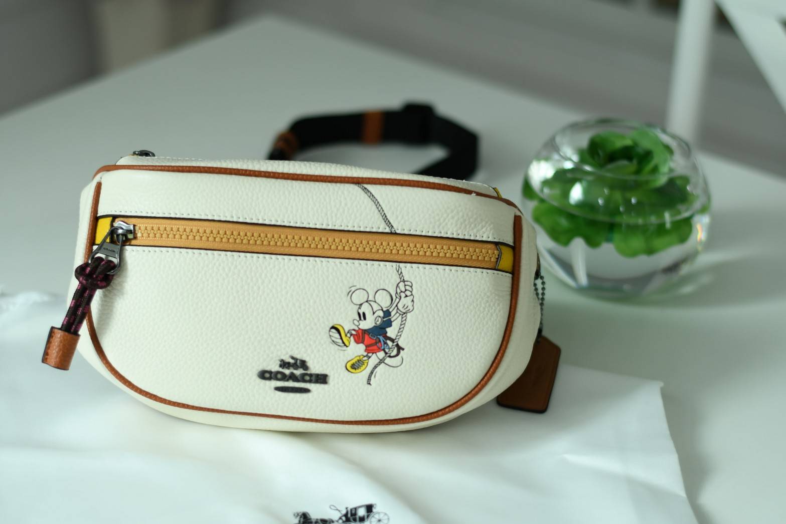 ของแท้ 💯% Coach Micky Mouse Disney Chest Bag 3747 collection Japan Limited Edition Women’s Full Leather กระเป๋าสะพายคาดอก/เอว ขนาดพอเหมาะ ใส่มือถือ iphone+ เปิดปิดด้วยซิป ด้านหน้ามี Logo mickey mouse