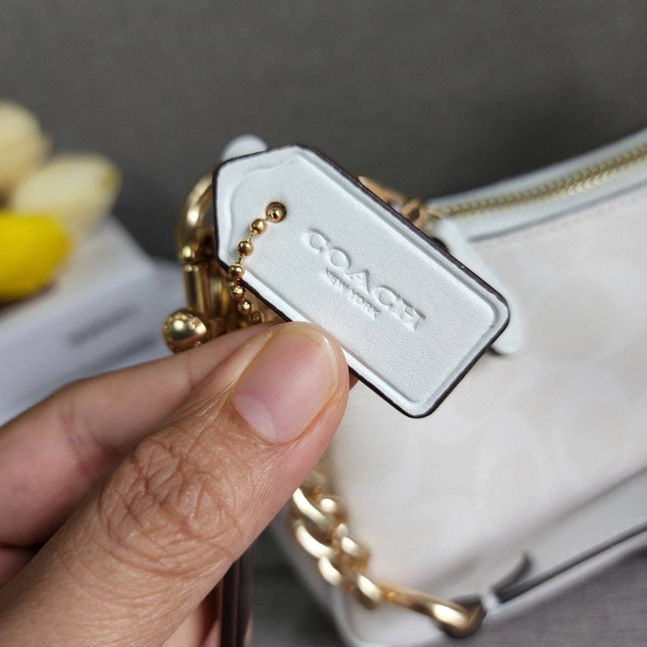 พร้อมส่งครบสี สวยทุกสีเลยค่า😘 ((CA173//CA209//CA548)) COACH TERI SHOULDER BAG 🔹กระเป๋าทรงพอช ในรูปแบบหนังแท้ หนังนิ่มสวยมากค่ะ