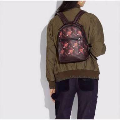 COACH BACKPACK WITH HORSE AND CARRIAGE PRINT AND HEARTS กระเป๋าสะพายหลัง วัสดุ pvc+หนังแท้ ตัวกระเป๋าลายแบรนด์ทั้งใบ ด้านหน้ามีรูปหัวใจโดดเด่นค่ะ พร้อมช่องซิปสำหรับใส่มือถือหรือของจุกจิก เปิดปิดกระเป๋าแบบซิปคู่ ภายในโล่ง ใส่ของจำเป็นได้ครบเลยนะคะ พร้อมช่อ