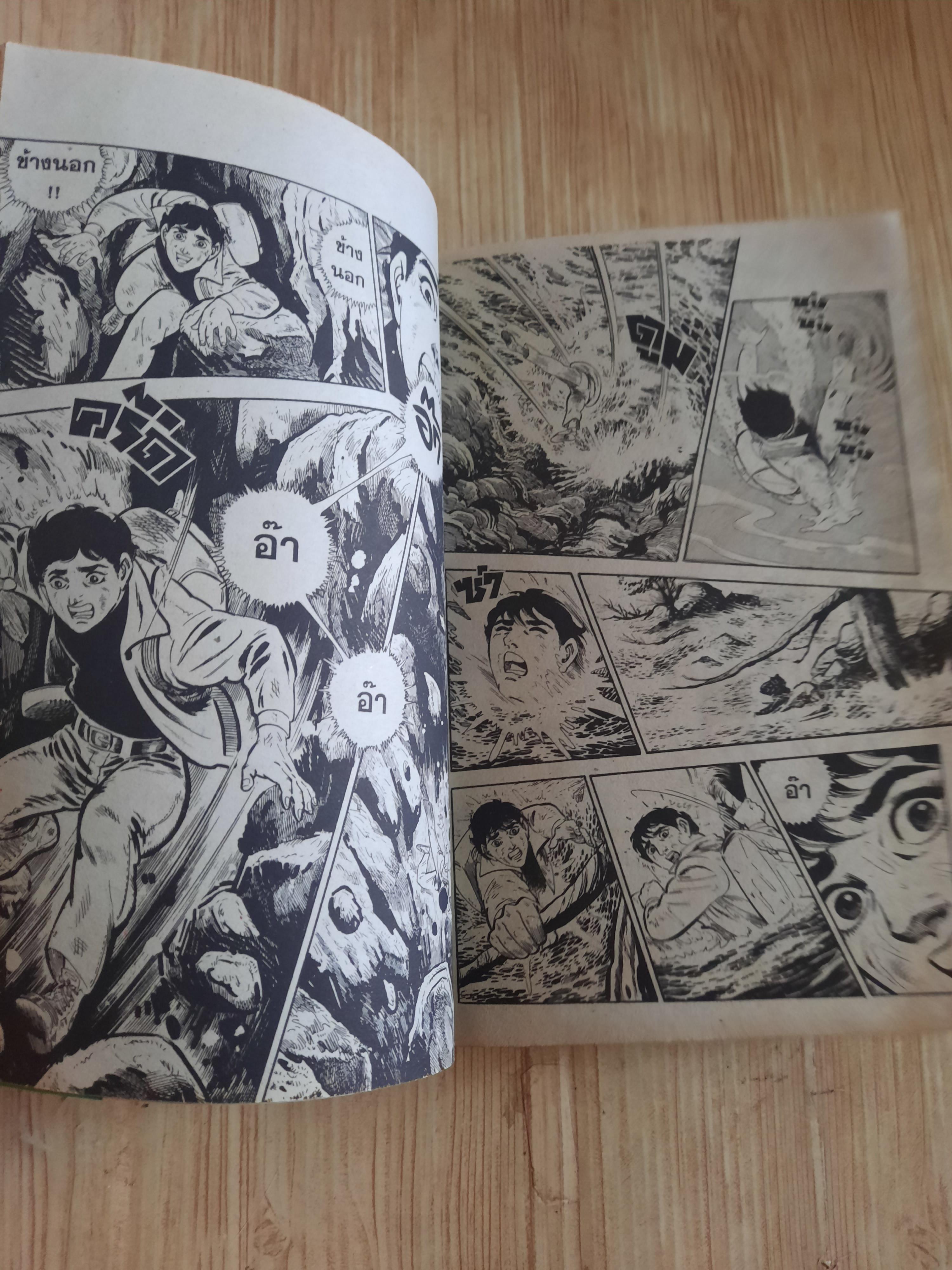 ต้องรอด ชุด เล่ม 2-14 (ขาดเล่ม 1,3,4,6) (16 เล่มจบ) สภาพสะสม***สินค้าหมด***