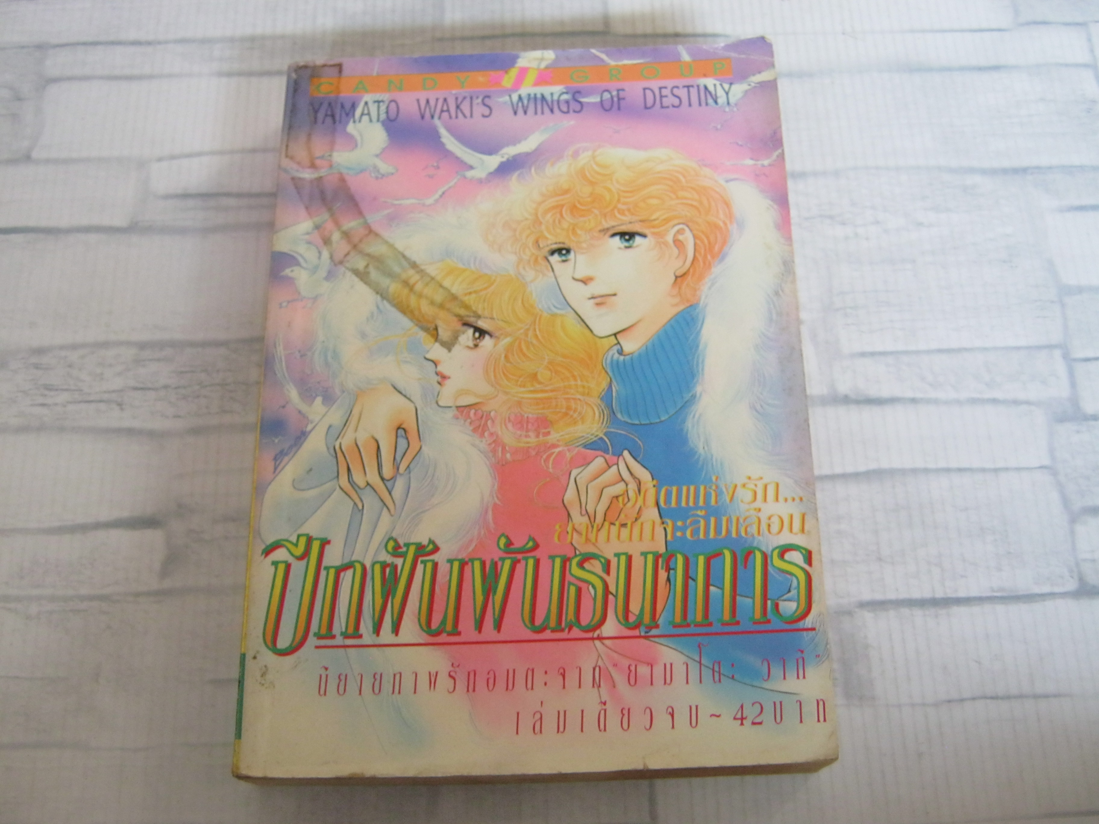 ปีกฝันพันธนาการ เล่มเดียวจบ ยามาโตะ วากิ เขียน***สินค้าหมด****