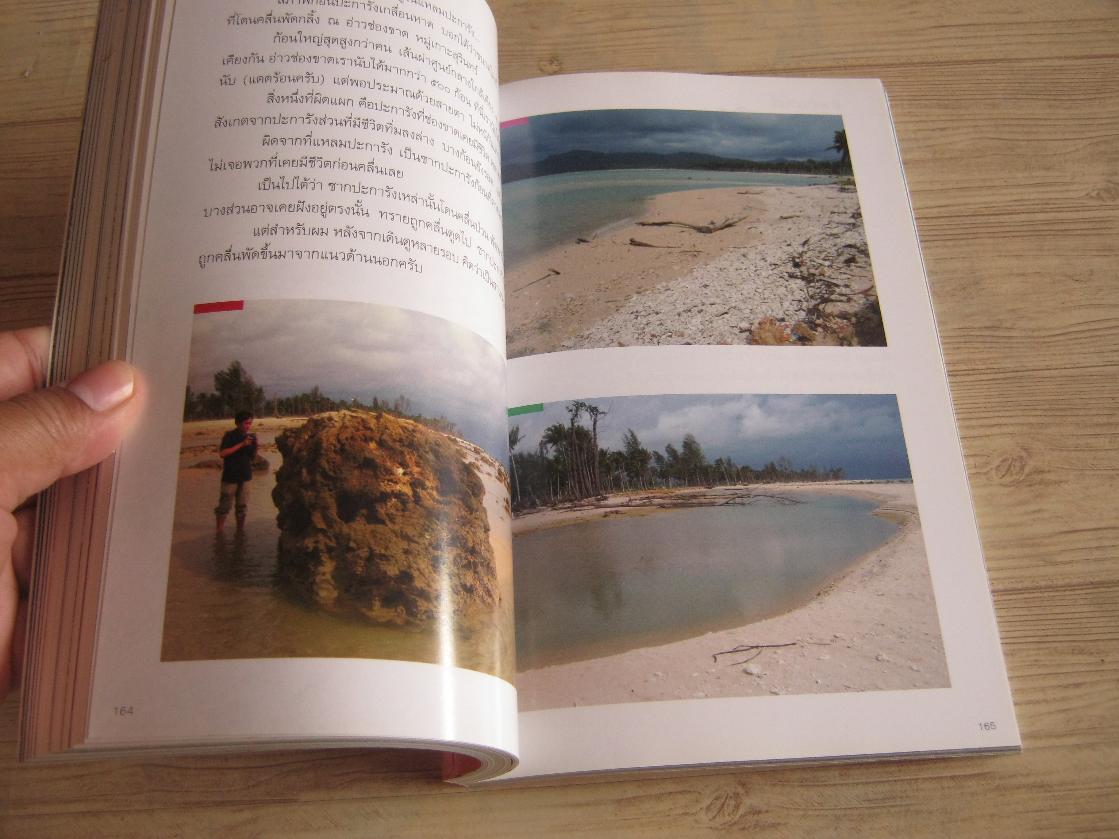 คู่มืออันดามัน ปะการัง พังงา สึนามิ โดย ธรณ์ ธำรงนาวาสวัสดิ์และศักดิ์อนันต์ ปลาทอง