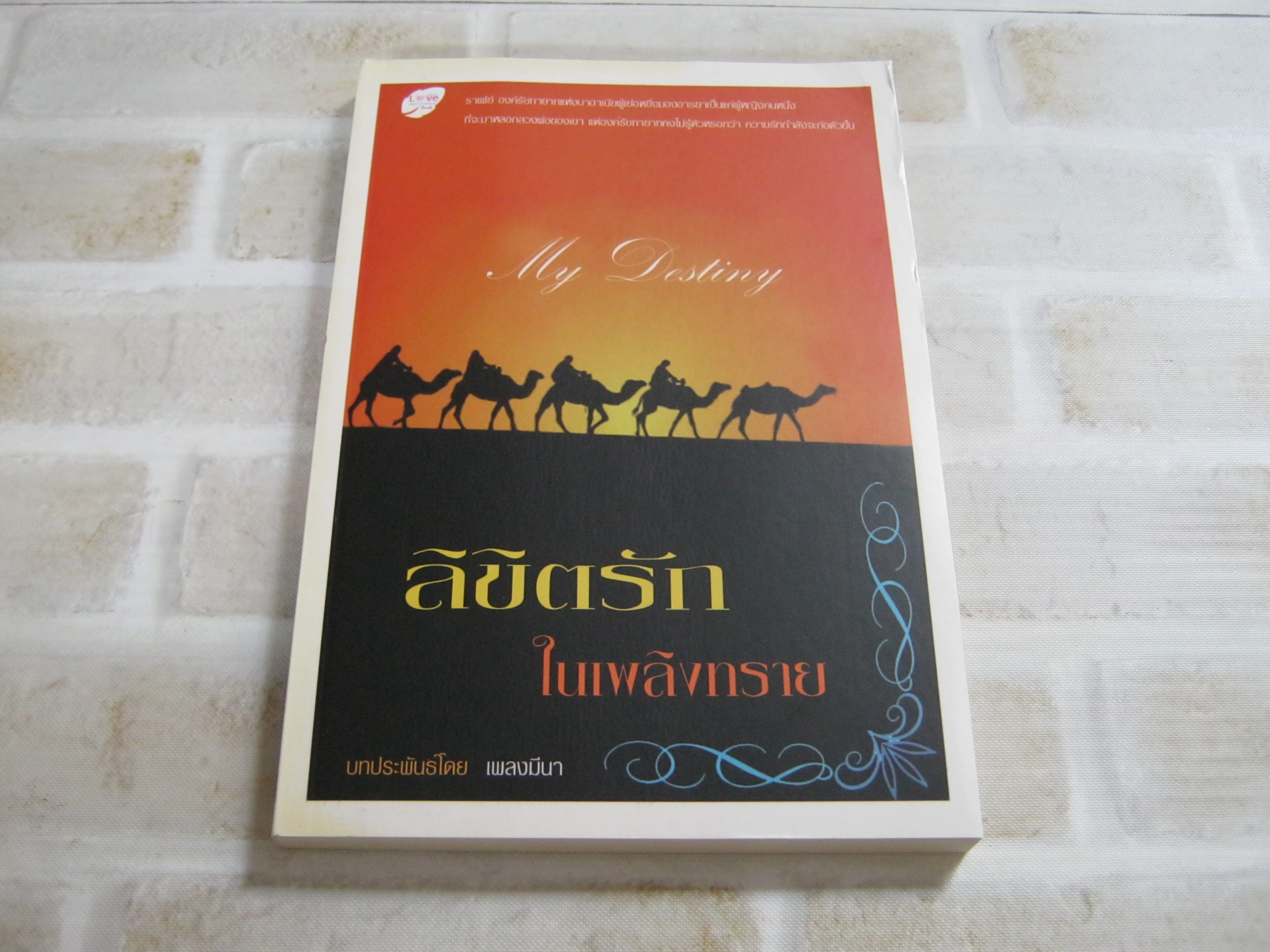 ลิขิตรักในเพลิงทราย เพลงมีนา เขียน