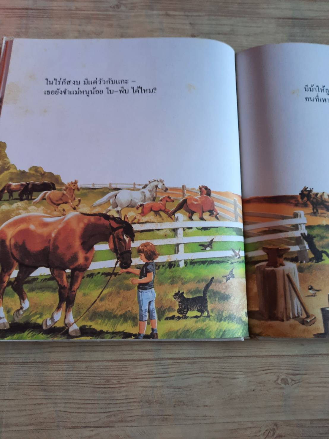 สารานุกรมสำหรับเด็กเล็ก หนังสือเรื่องผู้คนและสถานที่ต่าง ๆ คลิฟตัน ฟาติแมน เรื่อง รศ.ทรรศนียา กัลยาณมิตร แปล