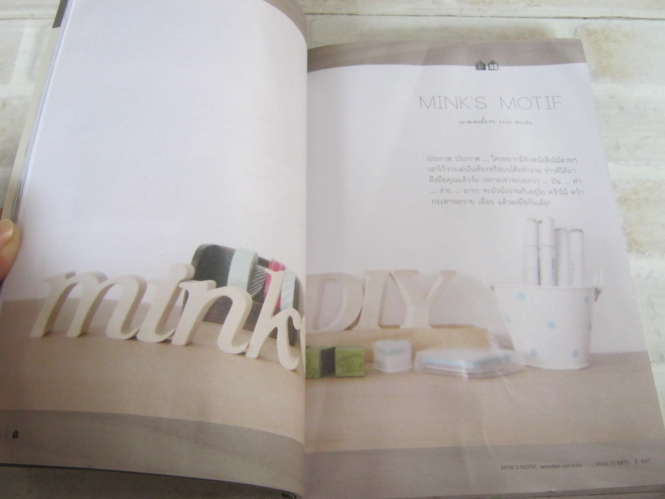 MINK DIY น่ารักน่าใช้สไตล์มิ้งค์ โดย มิ้งค์ & เบิร์ด