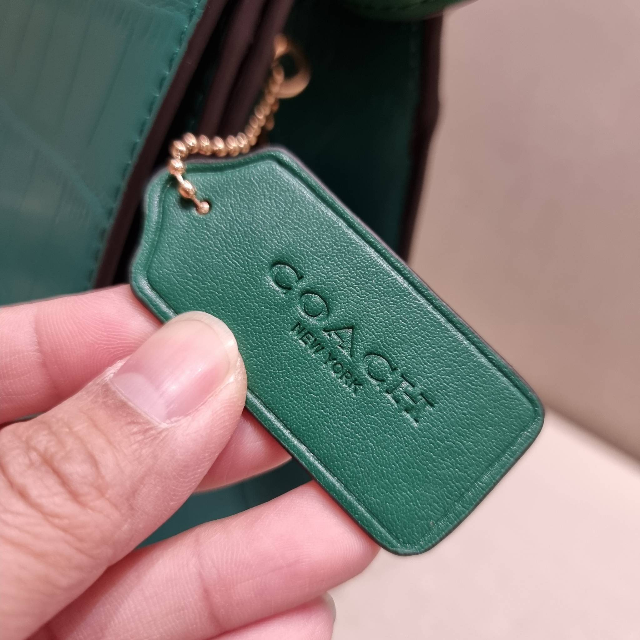 COACH C5631 BRYNN FLAP CROSSBODY แซ่บที่สุด ใหม่ที่สุด!! คอลเลคชั่นใหม่!! มองยังไงก็หลงรักละสายตาไม่ไหว กระเป๋าสะพายข้างลุคไฮน์ ที่ดีไซน์ออกมาได้ปัง และดูแพงมากๆ ด้วยดีเทลคลาสสิค รูปทรงใช้งานง่าย เรียบๆแต่มีดีเทล วัสดุหนังลายจระเข้ สวยม้าก!!! เปิด-ปิดด้วย