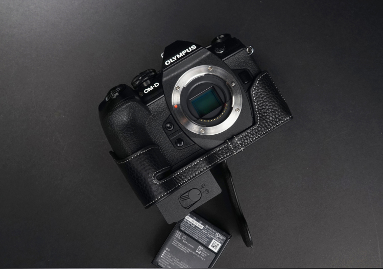 Olympus OM-D E-M1 Mark II / III