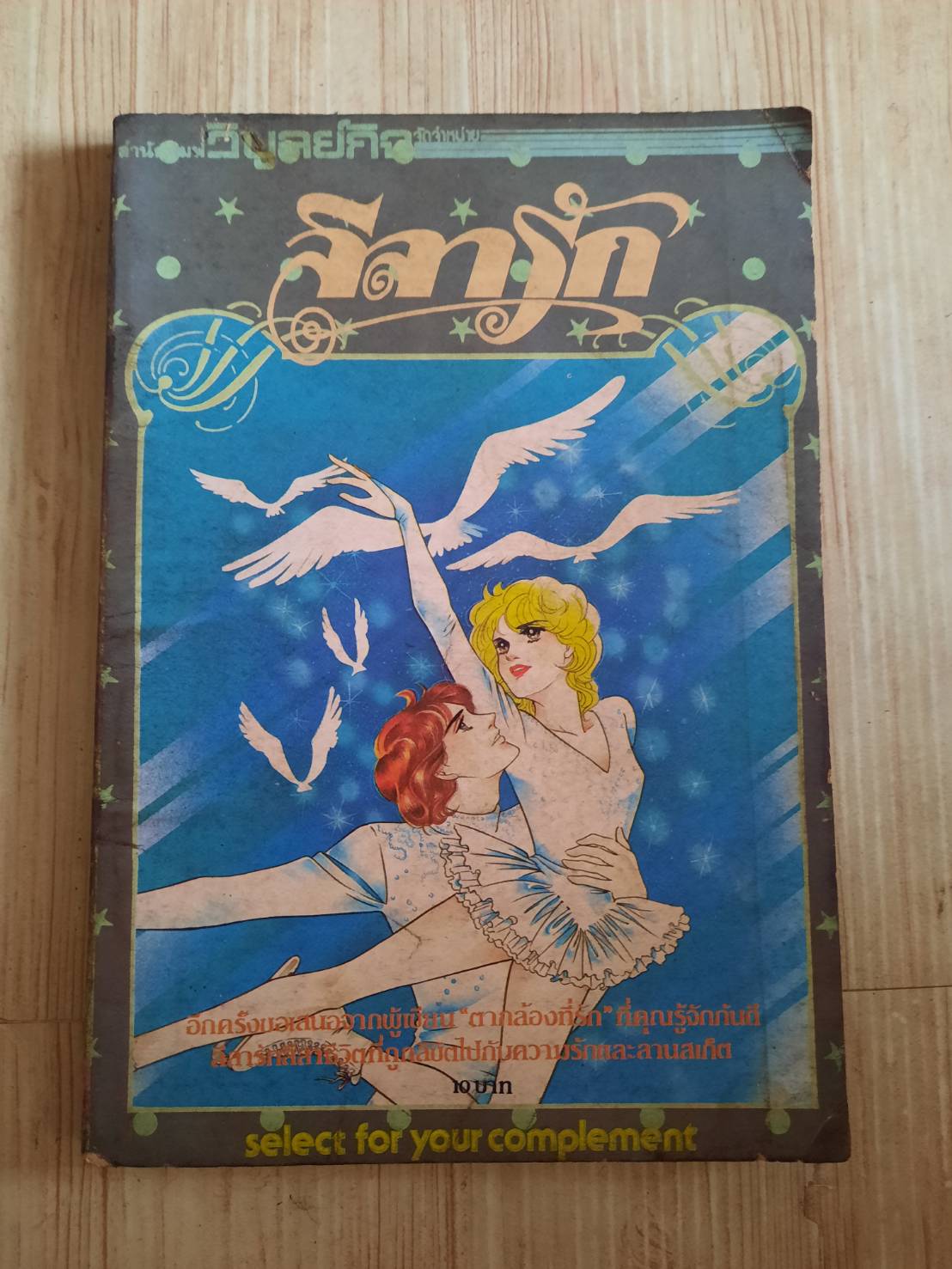 ลีลารัก เล่มเดียวจบ ***สินค้าหมด***