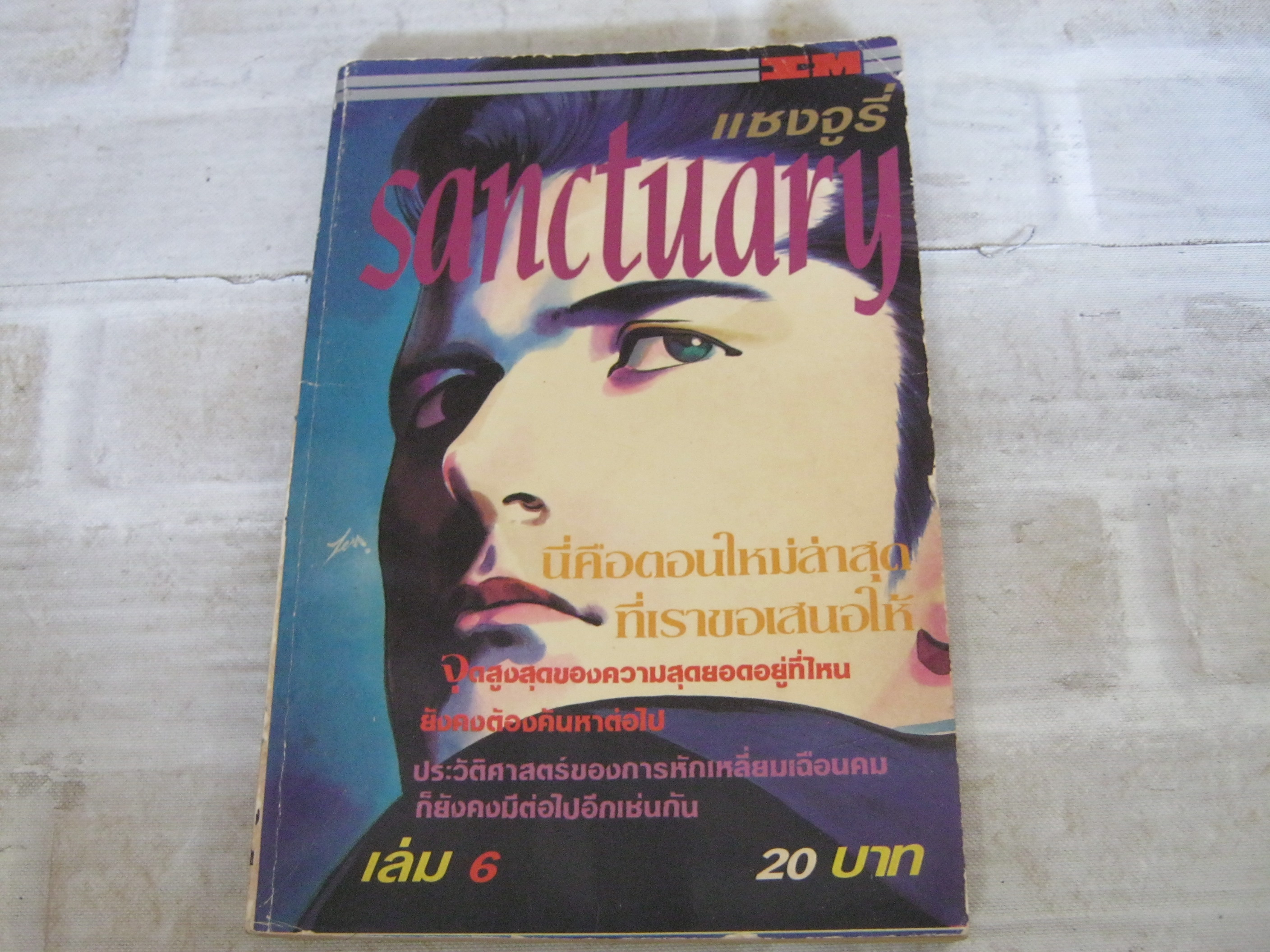 sanctuary แชงจูรี่ เล่ม 6