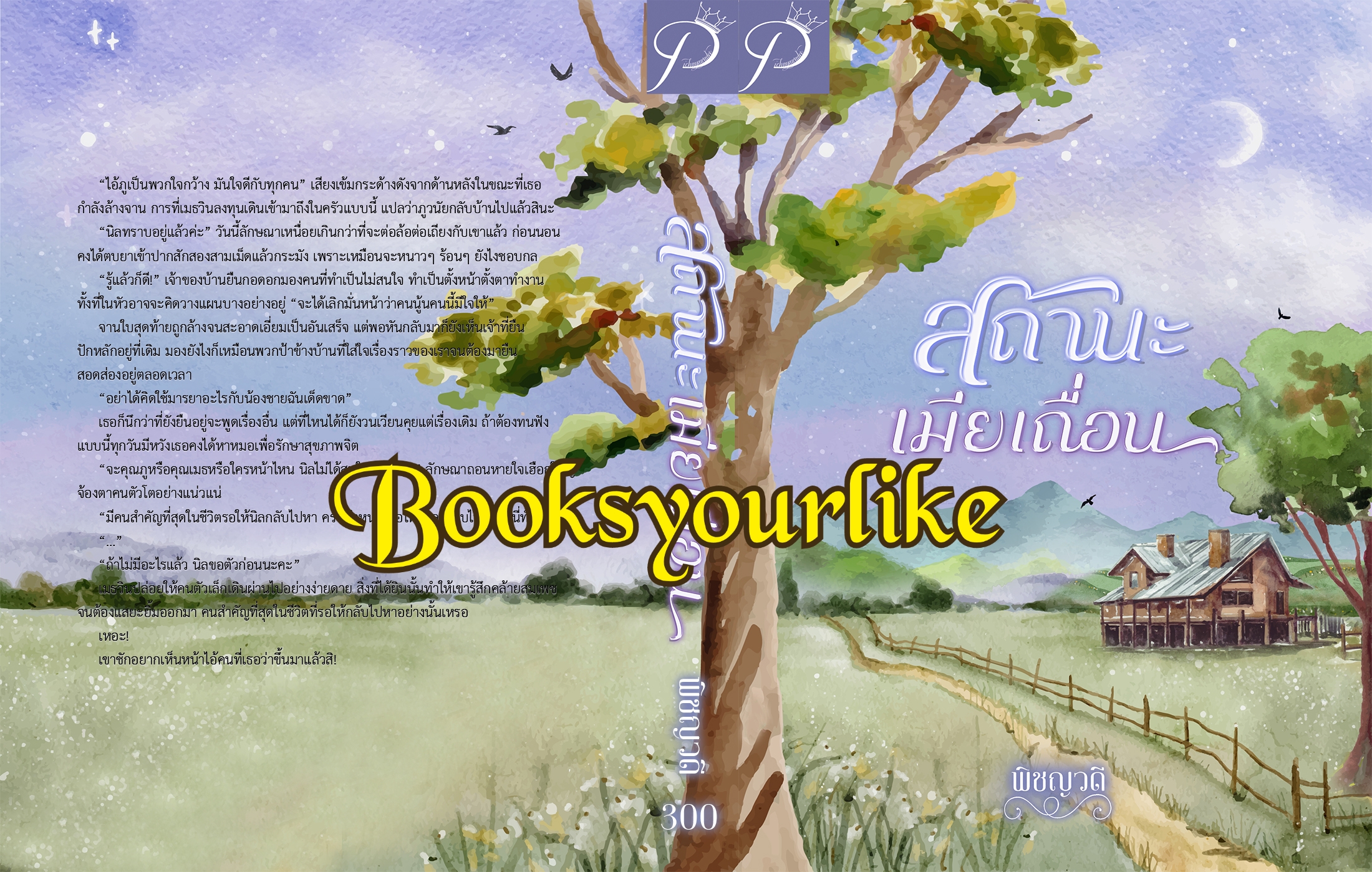 สถานะเมียเถื่อน,ผู้แต่ง,พิชญวดี,นิยายรักทำมือโรแมนติก