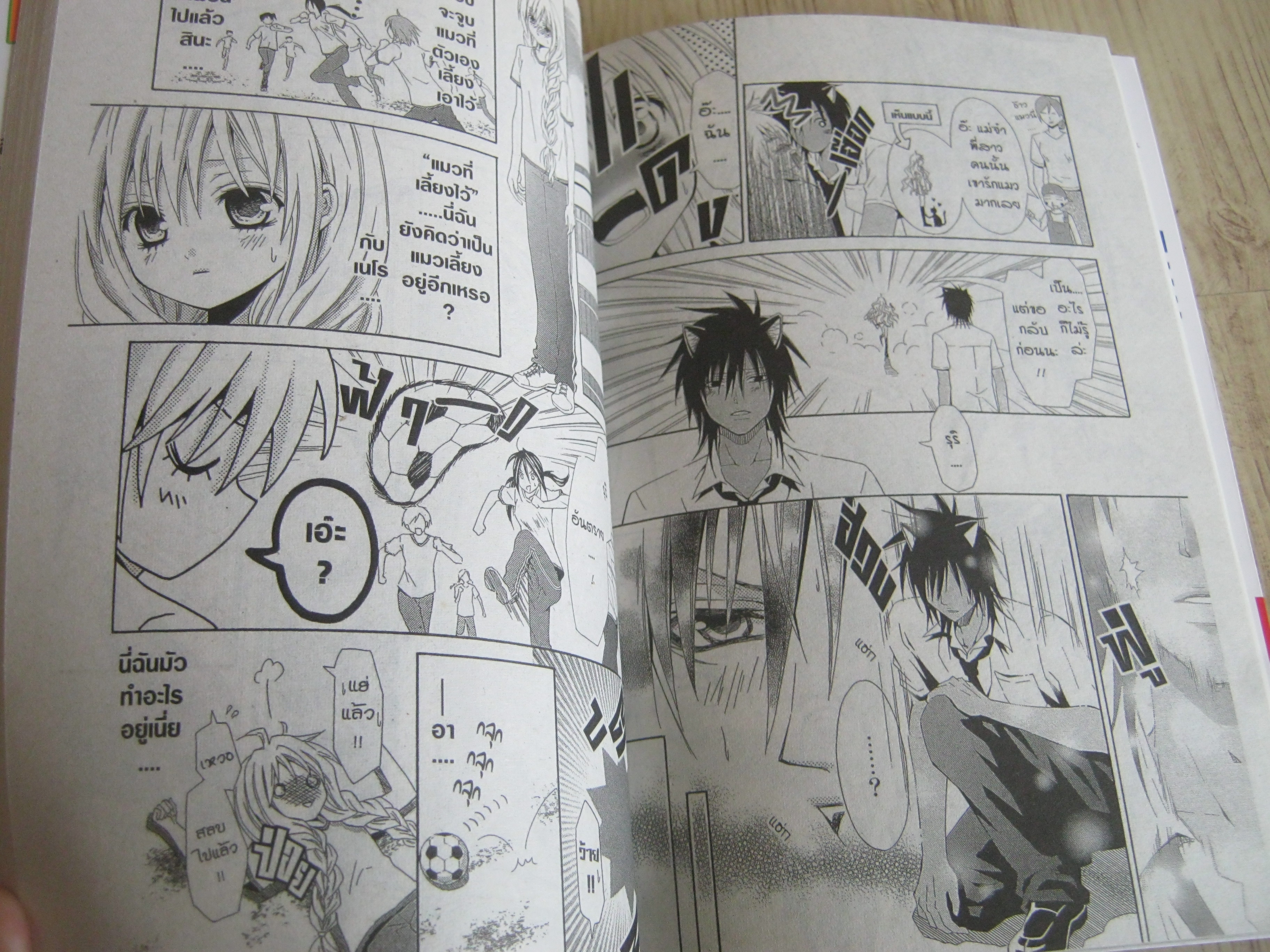 นายวายร้ายกับยายปากแข็ง เล่มเดียวจบ Ai Hibiki เขียน