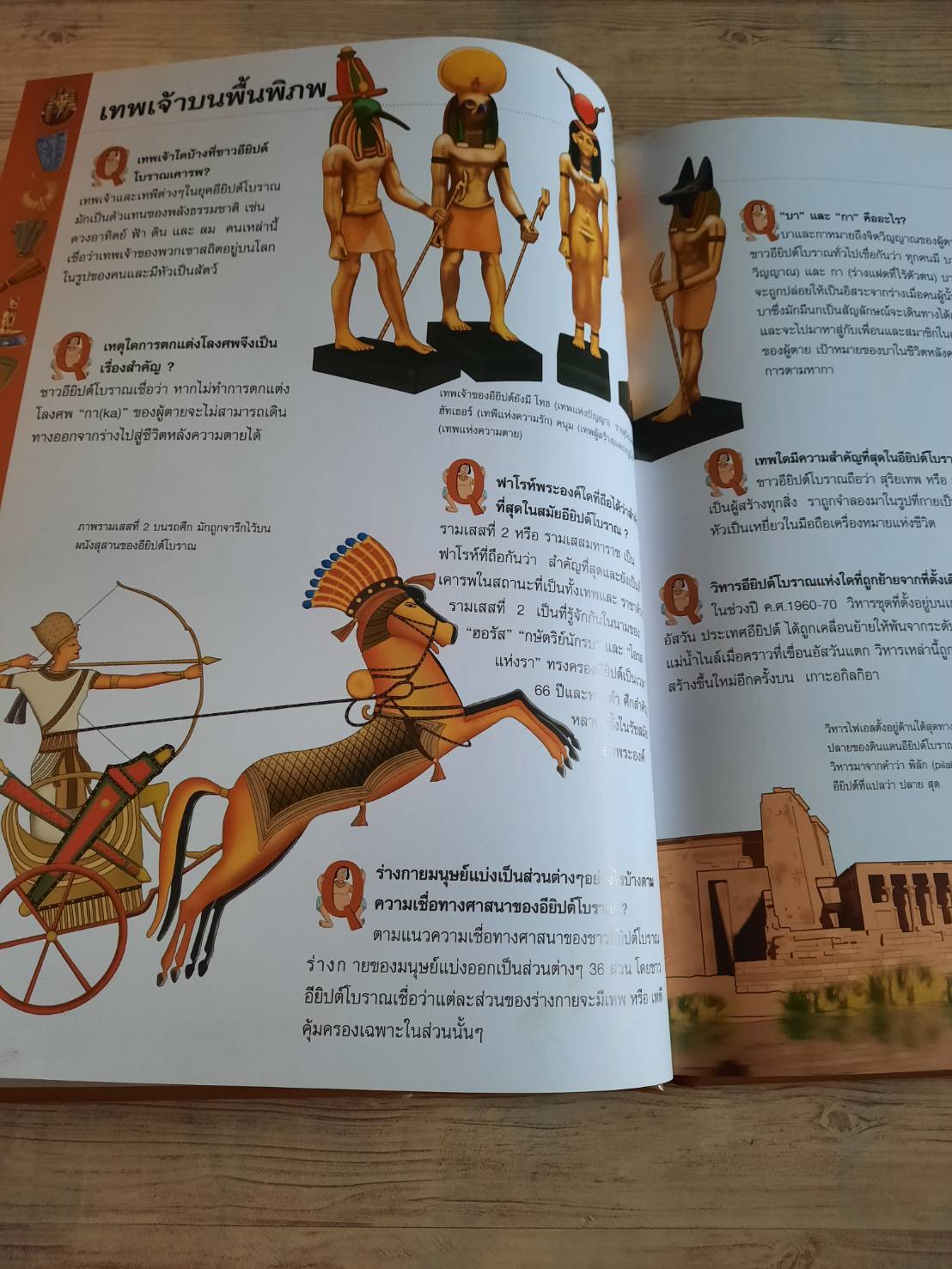 เปิดโลกเมืองโบราณอียิปต์ (Step Into The World of Ancient Egypt)***สินค้าหมด***