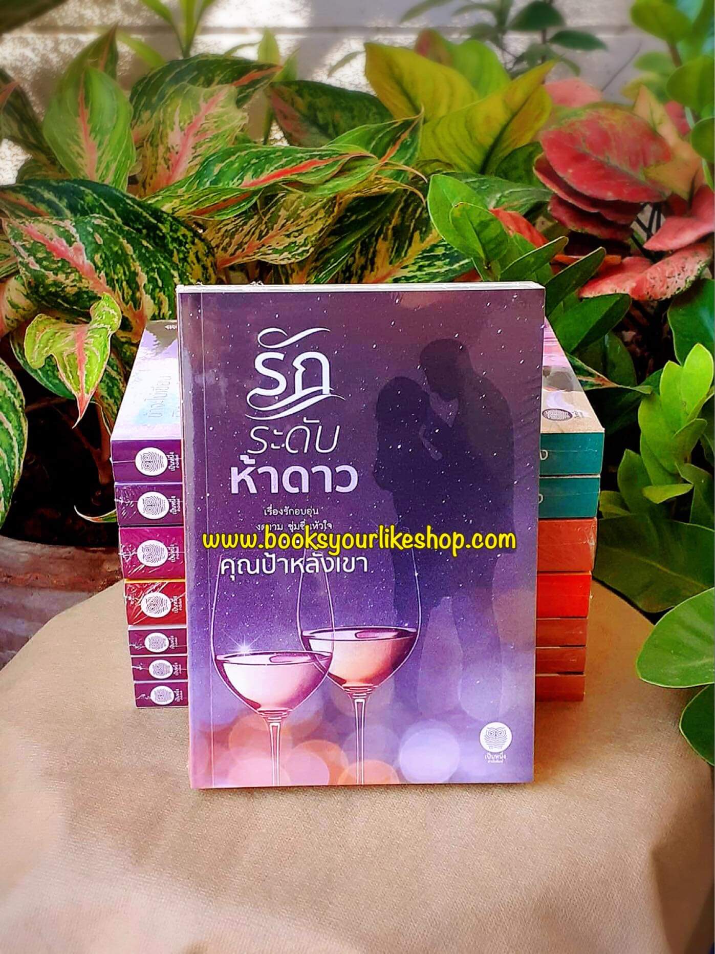 รักระดับห้าดาว,ผู้แต่ง, คุณป้าหลังเขา, นิยายรักอบอุ่น, เป็นหนึ่งสำนักพิมพ์