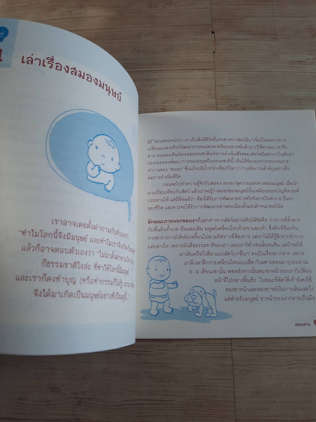 สมองอ่าน อ่านสมอง พญ.จันทร์เพ็ญ ชูประภาวรรณ เขียน