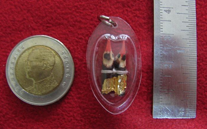 จี้สาริกาลิ้นทอง หลวงพ่อเปิ่น เลี่ยมกรอบใส วัดบางพระ พร้อมใบคาถาค่ะ