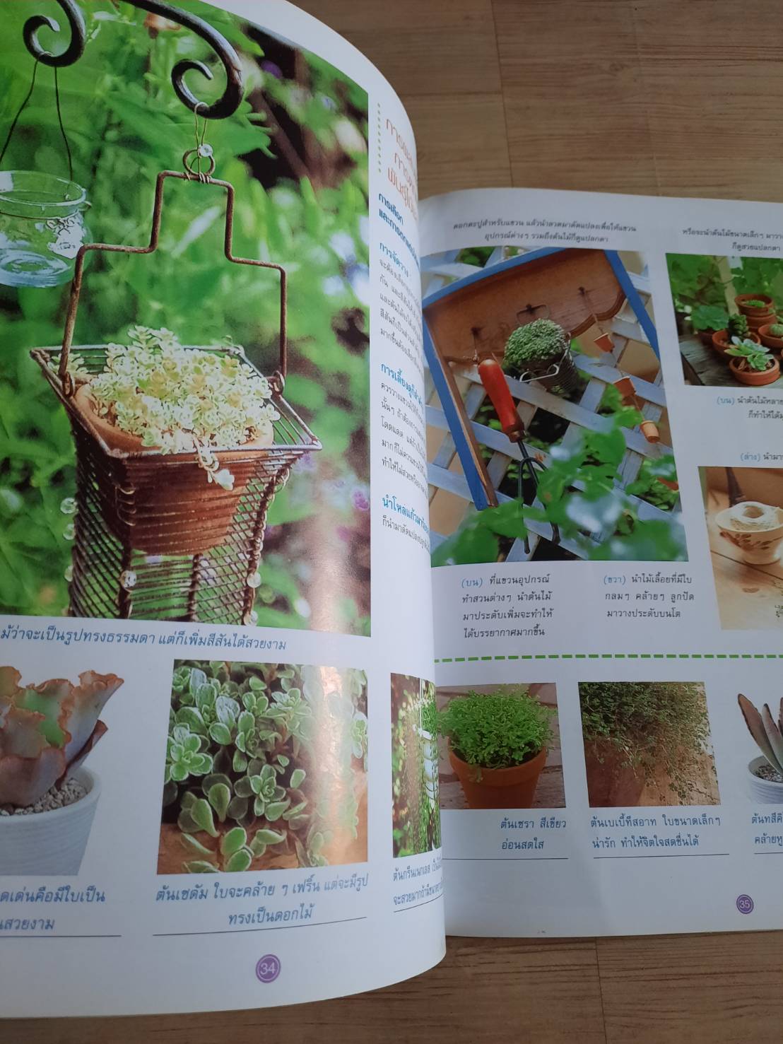 ไอเดียการแต่งสวน เล่ม 4***สินค้าหมด***