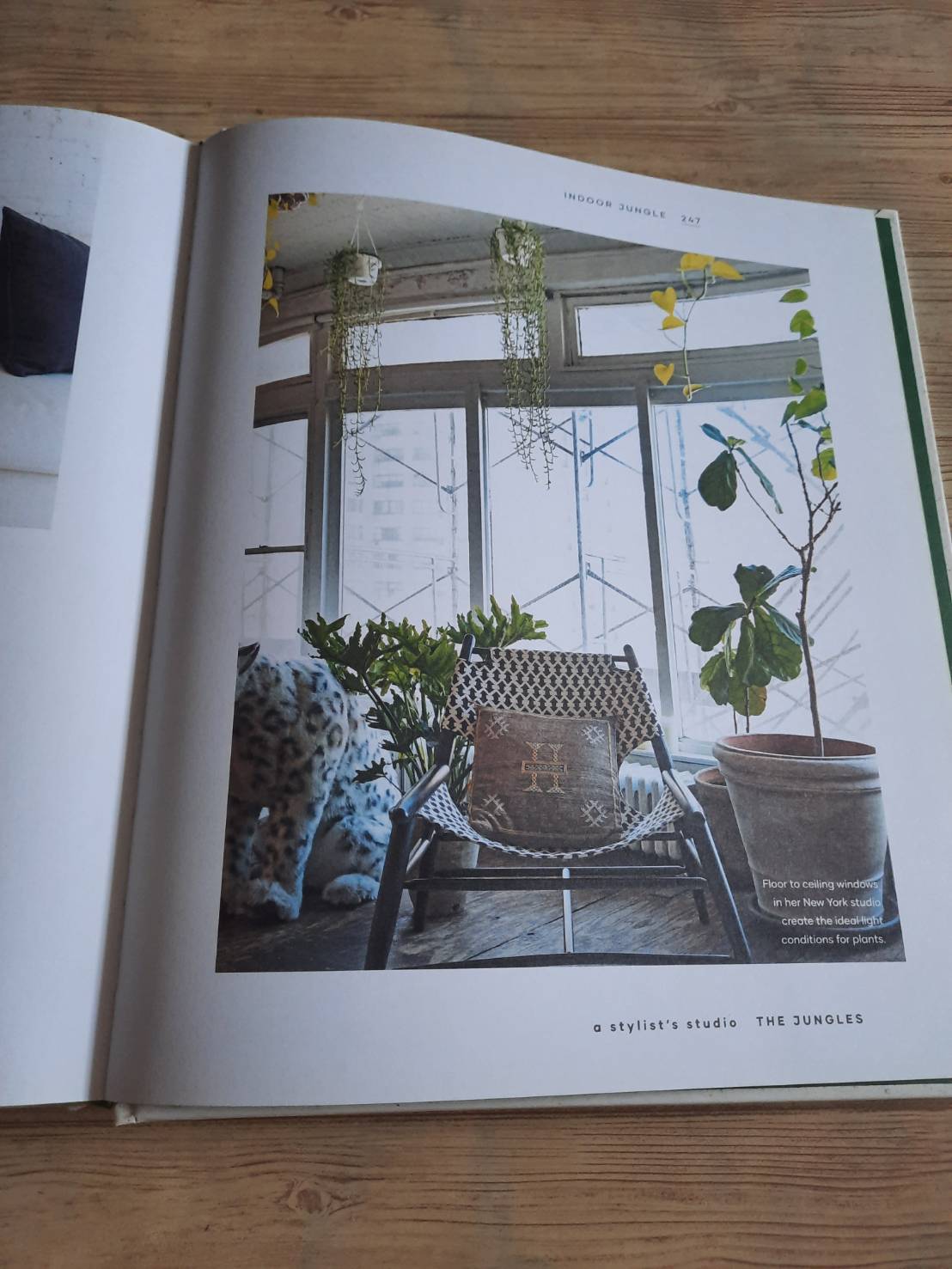 The Leaf Supply Guide to Greating Your Indoor Jungle By Lauren Comilleri + Sophia Kaplan (ปกแข็ง)