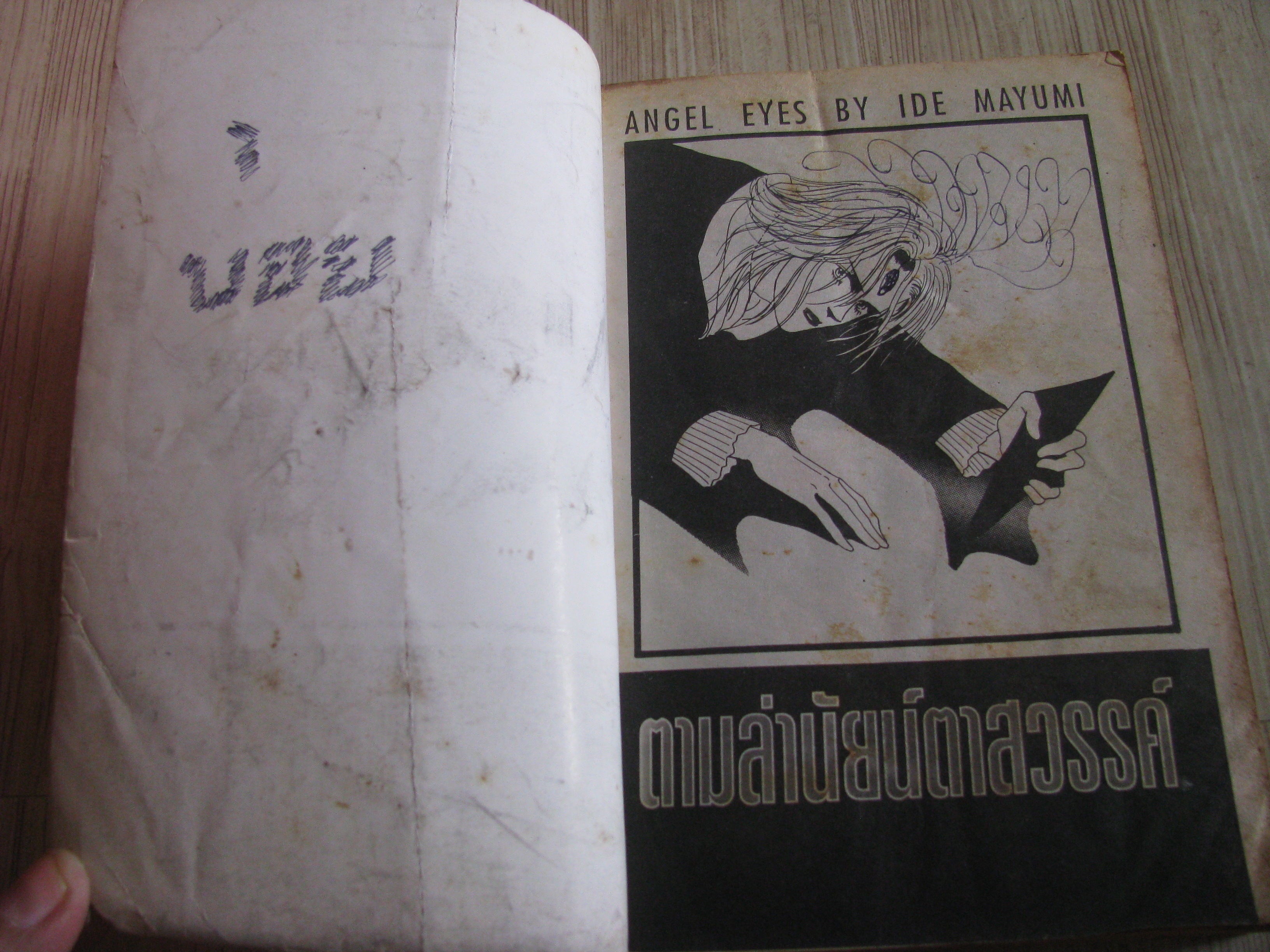 ตามล่านัยน์ตาสวรรค์ เล่มเดียวจบ