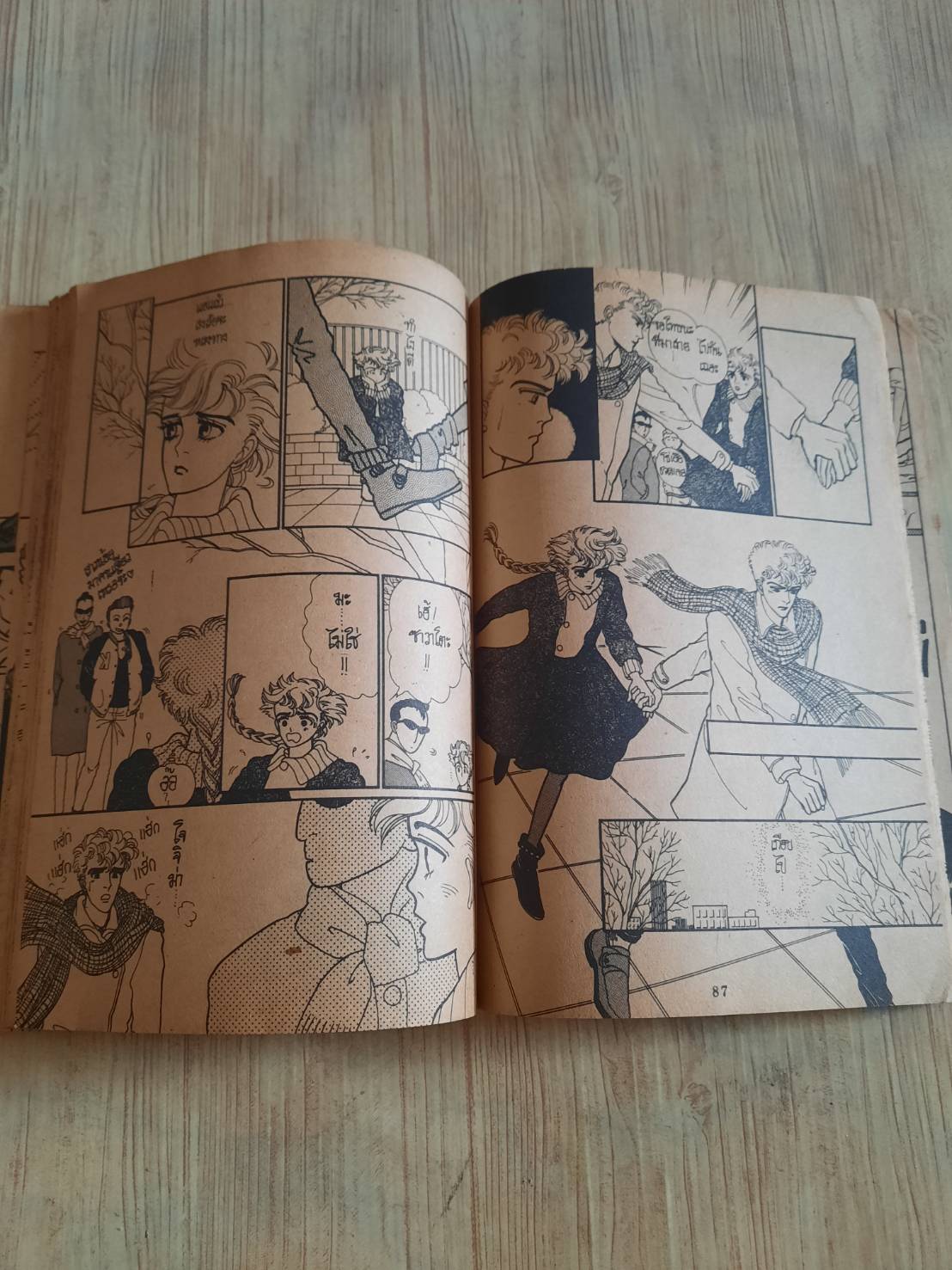 พิ้งค์เลดี้มายเดียร์ จบในฉบับ