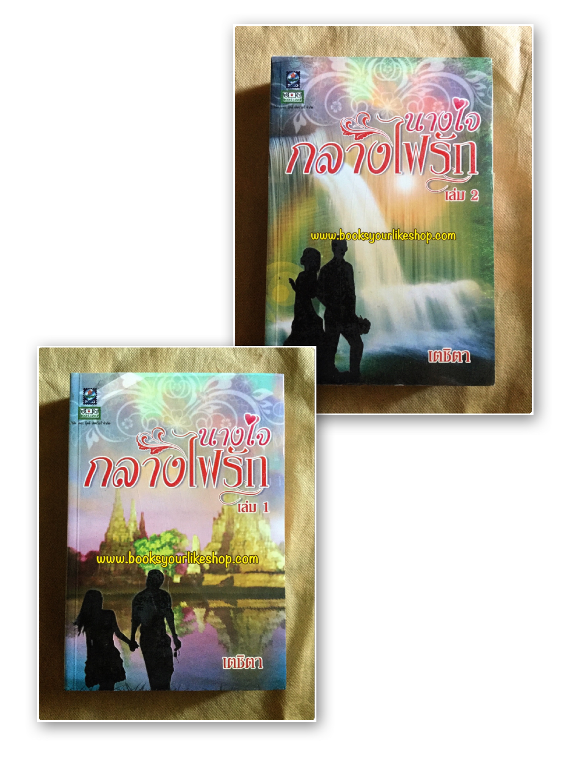 นางใจกลางไฟรัก 2 เล่มจบ เตชิตา สนพ ดอกหญ้า หนังสือใหม่