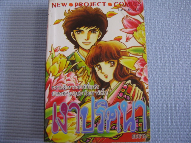 เงาปริศนา เล่มเดียวจบ Chieko Hara เขียน***สินค้าหมด***