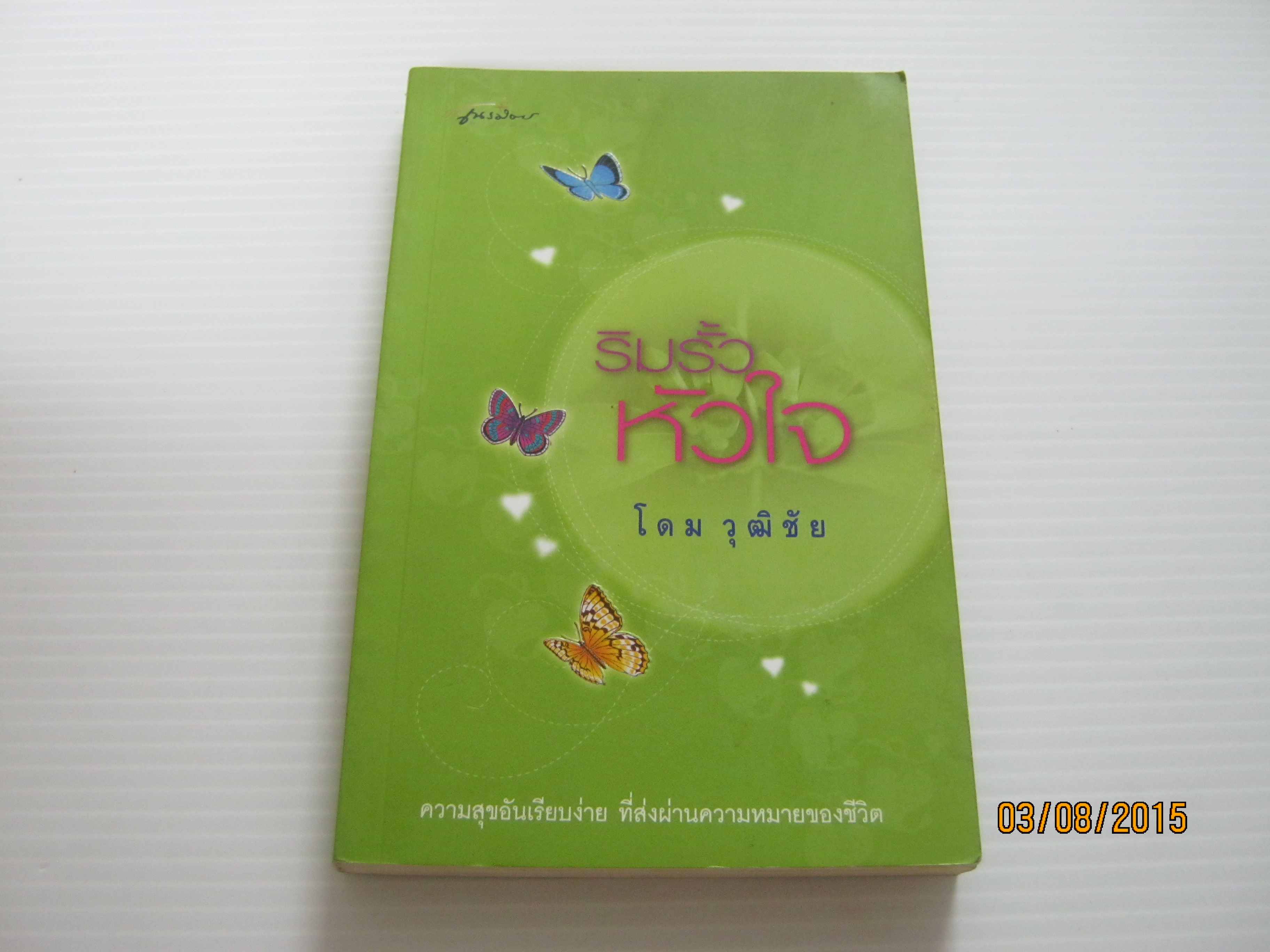 ริมรั้วหัวใจ โดม วุฒิชัย เขียน***สินค้าหมด***