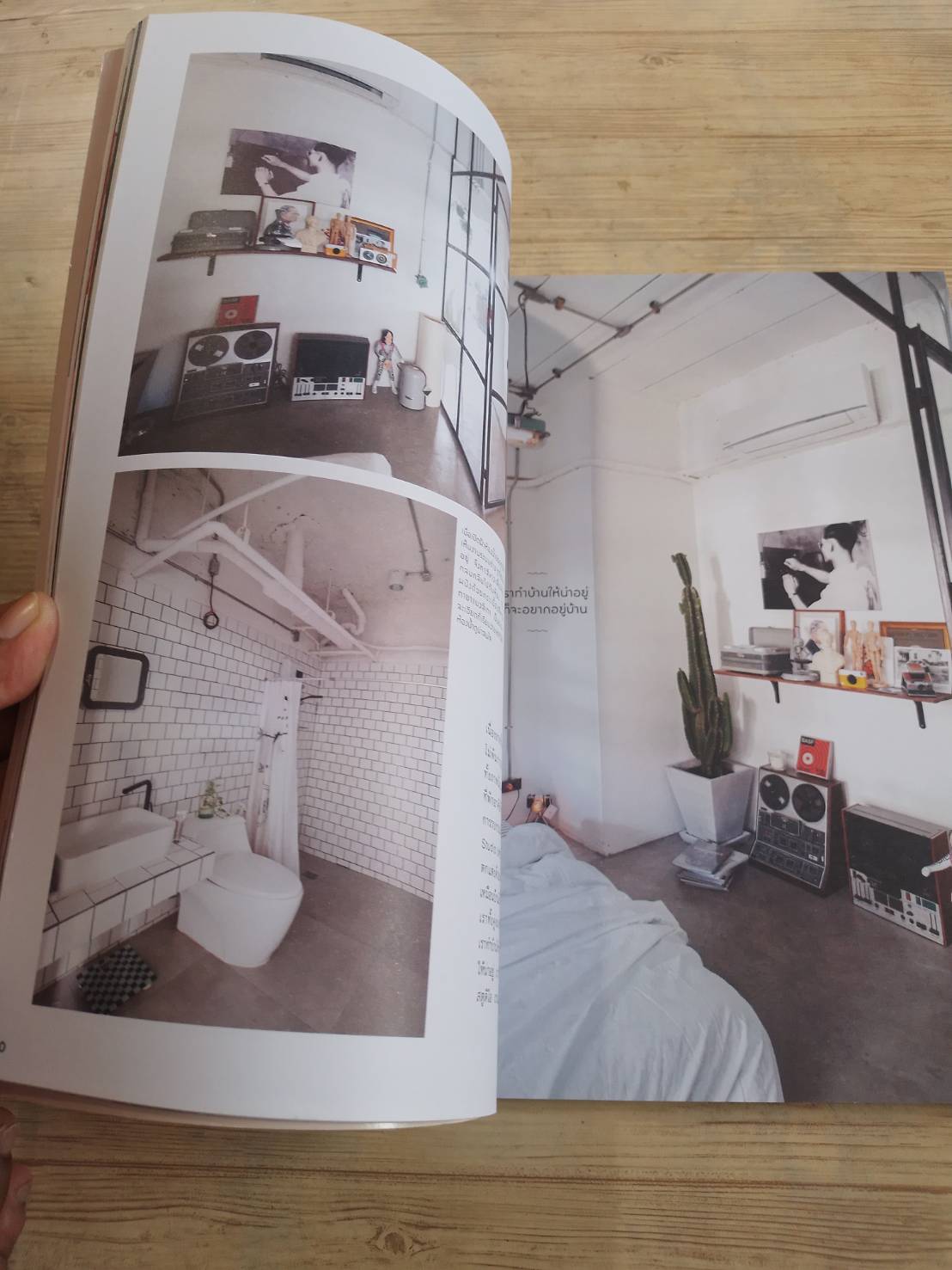 my home ฉบับที่ 99 Oct-Nov 2018 Mini Glasshouse โรงเรือนขนาดเล็กที่ใคร ๆ ก็มีได้