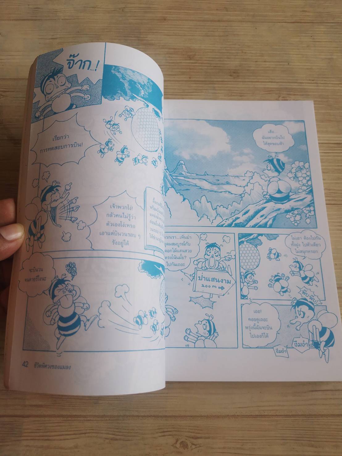 ชีวิตพิศวงของแมลง คิม ซู อัน เรื่อง ผศ.อุไรวรรณ จิตเป็นธม คิม แปล