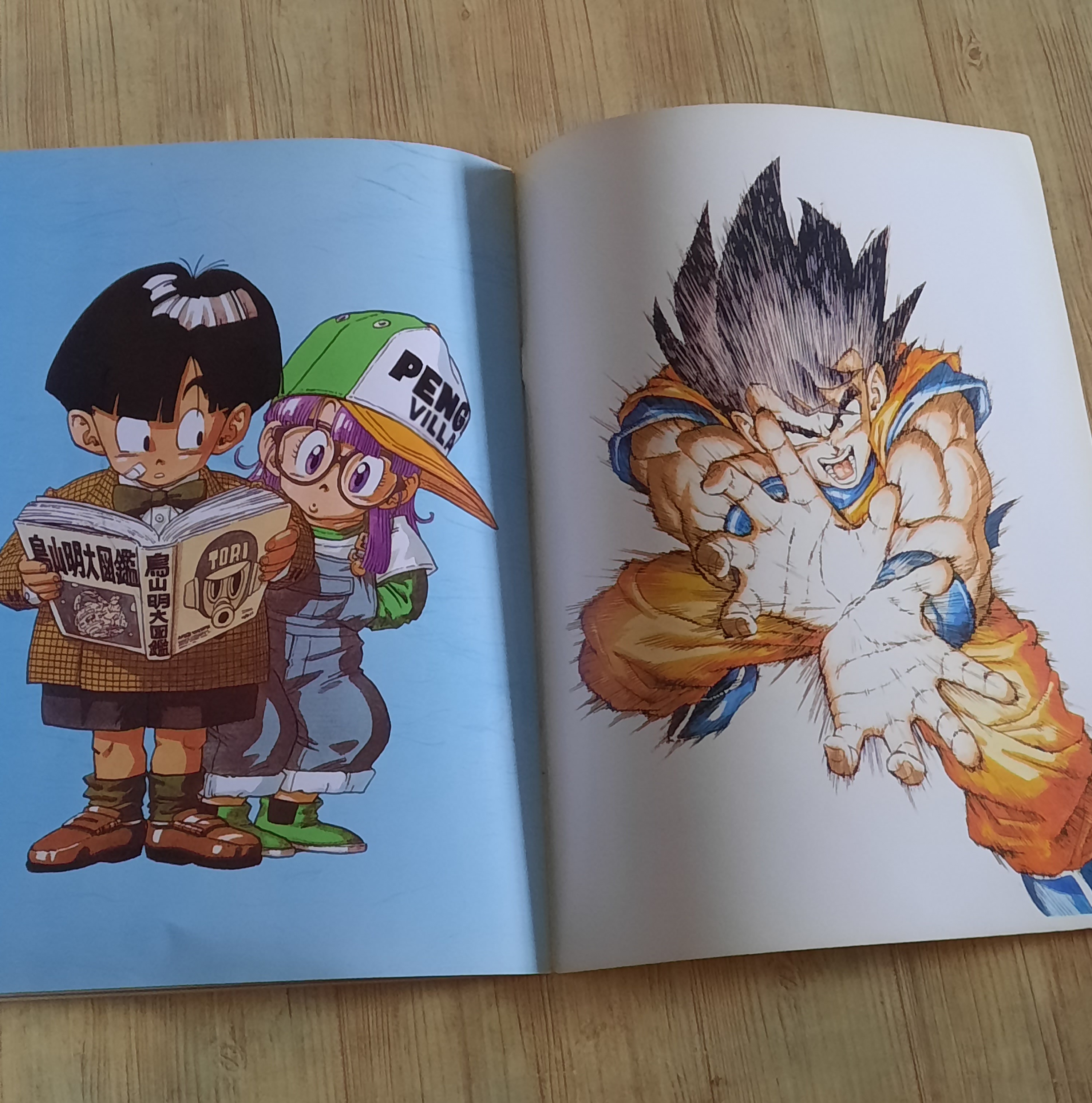 อัลบั้มภาพ DRAGONBALL