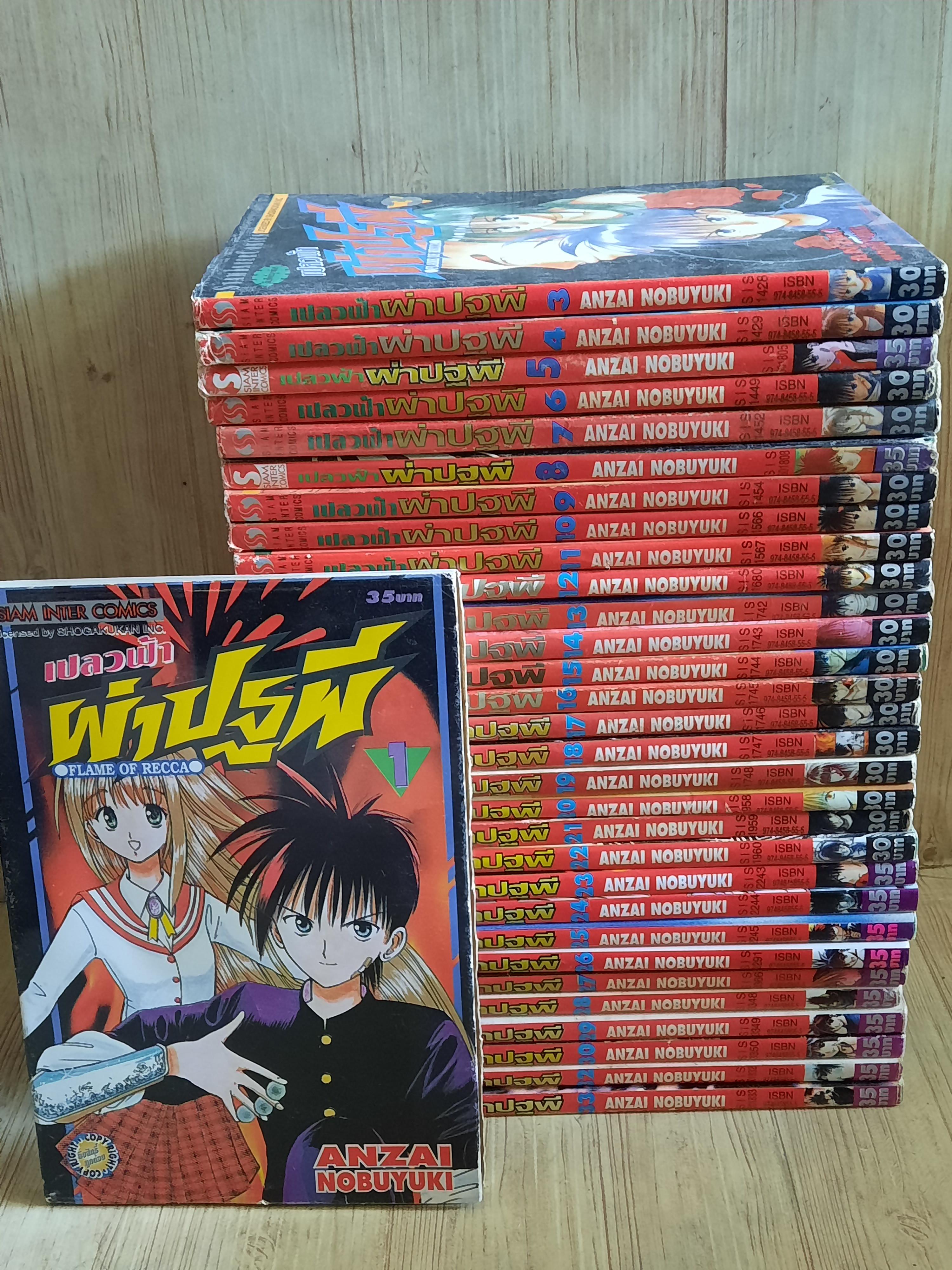 เปลวฟ้าผ่าปฐพี ชุด เล่ม 1-33 (ขาดเล่ม 2,31) 33 เล่มจบ สภาพสะสม