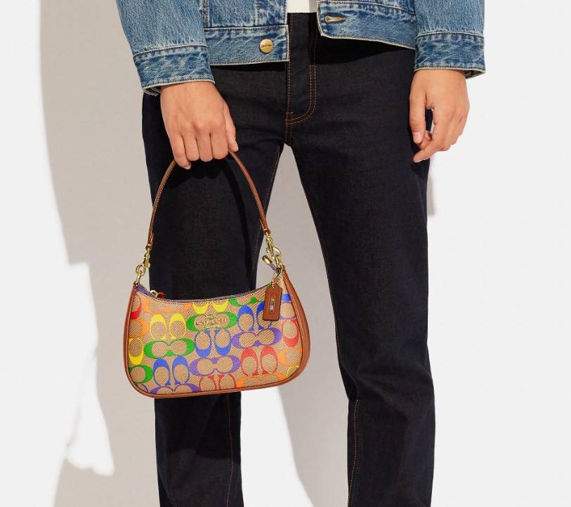 พร้อมส่งครบสี สวยทุกสีเลยค่า😘 ((CA173//CA209//CA548)) COACH TERI SHOULDER BAG 🔹กระเป๋าทรงพอช ในรูปแบบหนังแท้ หนังนิ่มสวยมากค่ะ