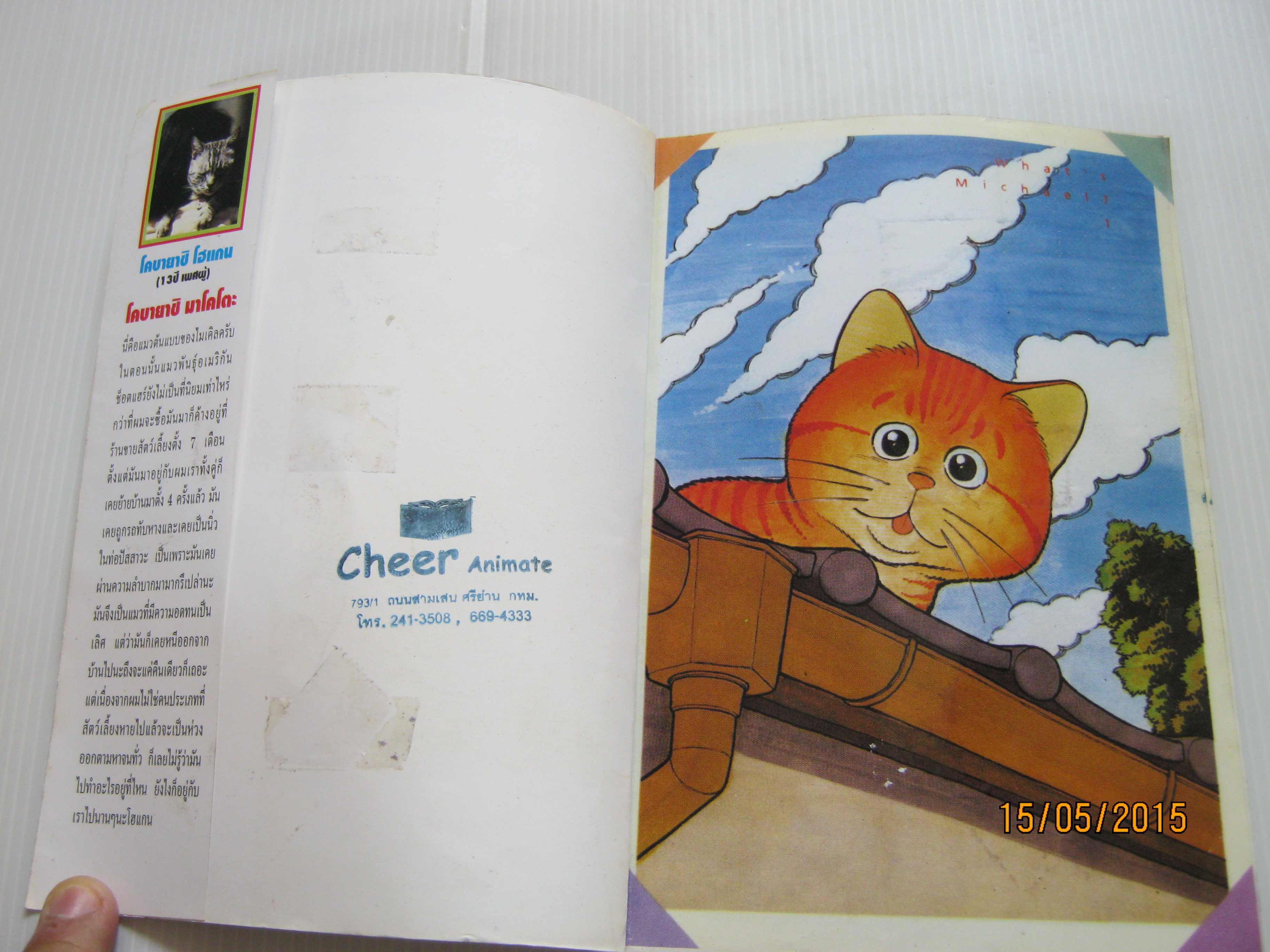 Wha 's Michael ? เหมียวไม่ธรรมดา เล่ม 1
