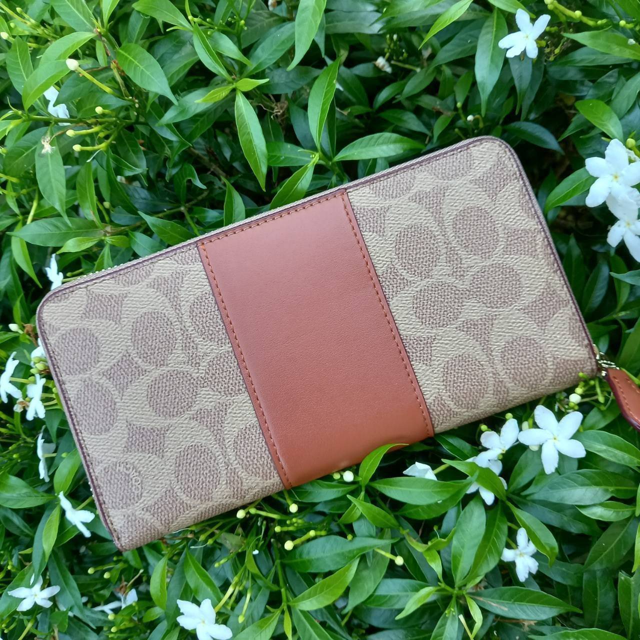 มาเท่าไหรก็ไม่เคยพอจริงๆ มีความต้องการกันถึงขีดสุด❣️😘>>COACH ACCORDION ZIP WALLET IN COLORBLOCK SIGNATURE CANVAS (COACH 31546)🍁กระเป๋าสตางค์ใบยาว ซิปรอบ //วัสดุหนังแคนวาสสลับหนังแท้ ดีไซน์สวย โดดเด่นลงตัวเป็นที่สุด ด้านในมีช่อ