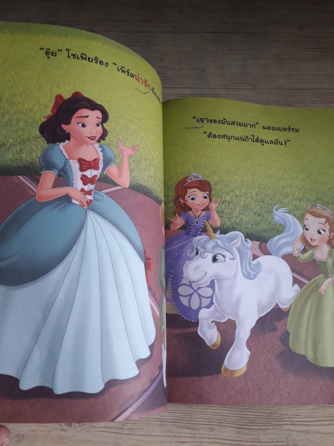 เจ้าหญิงน้อยโซเฟีย ตอน ยูนิคอร์นเพื่อนรัก (Sofia Makes a Friend) Catherine Hapka เขียน จุรีพร สมศาสตร์ แปล