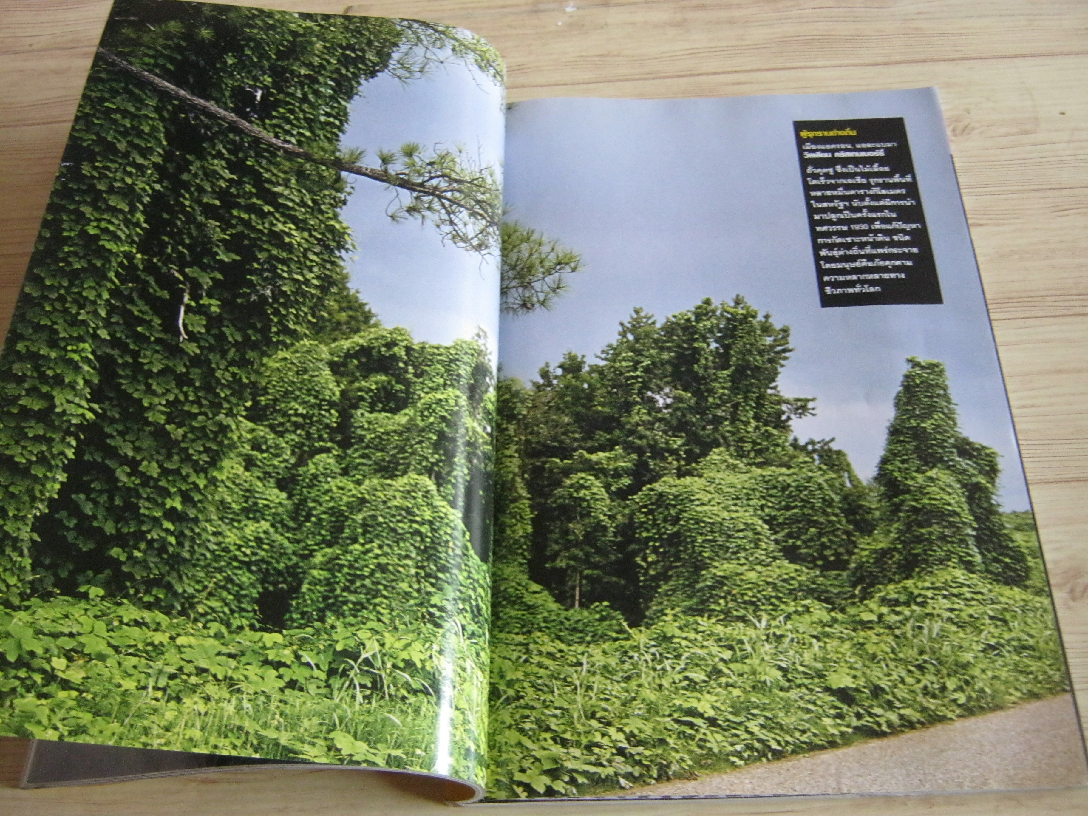 NATIONAL GEOGRAPHIC ฉบับภาษาไทย มีนาคม 2554 แอนโทรโปซีน ยุคมนุษย์ครองโลก