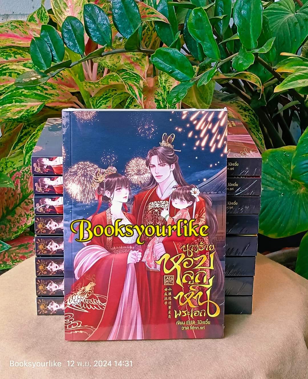 นางร้ายหอบลูกหนีพระเอก,ผู้แต่ง,ไป๋เจวี๋ย,นิยายรักจีนโบราณ