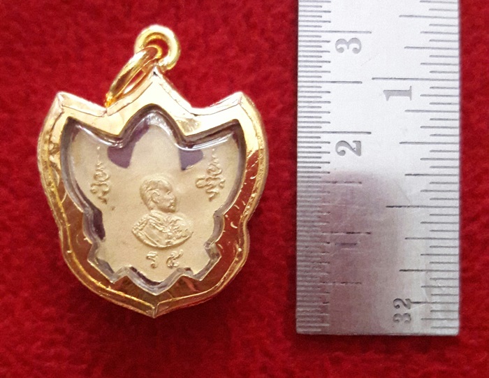 สินค้าหมดค่ะ จี้พญาครุฑหลังเสด็จพ่อร.5องค์เล็กเนื้อทองพ่นทรายเลี่ยมทองไมครอนพร้อมใบคาถาค่ะ