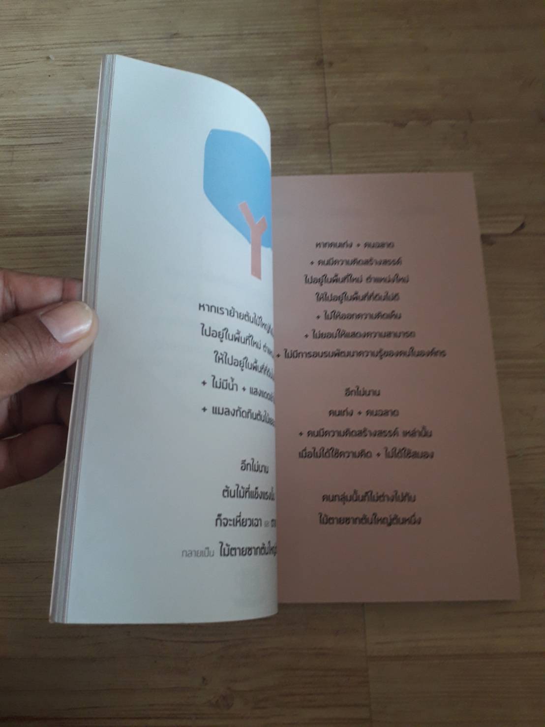 คนในถ้วย ดำรงค์ พิณคุณ เขียน