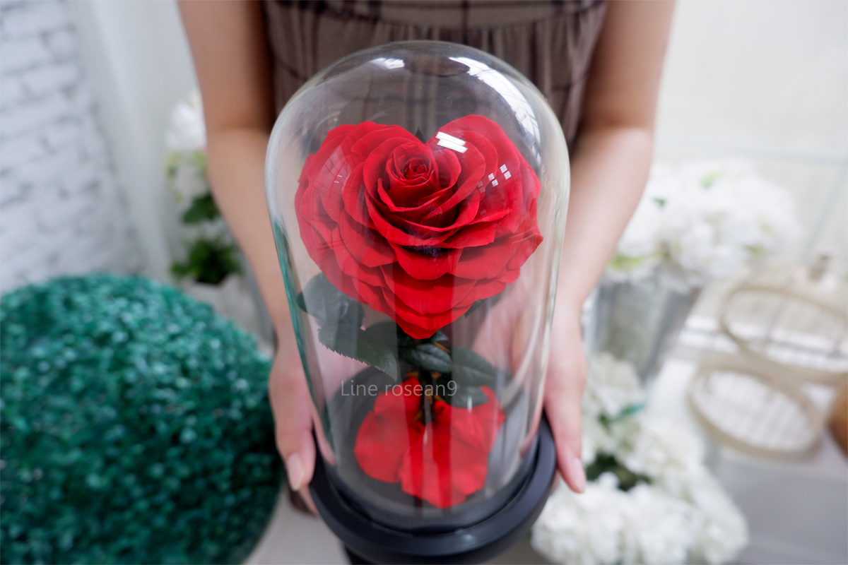 กุหลาบอมตะ กุหลาบอมตะหัวใจ