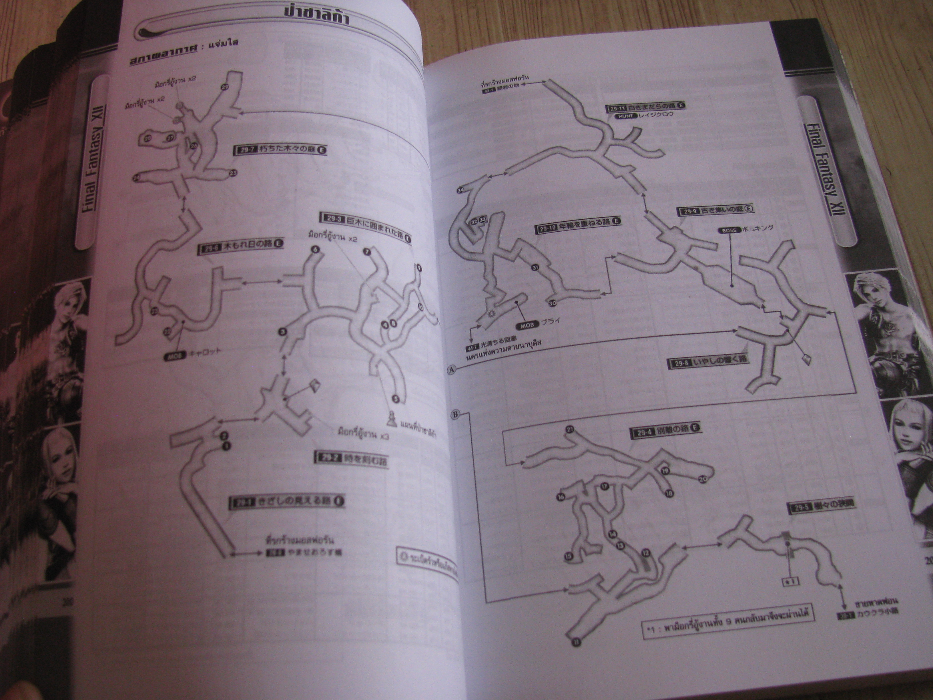 คู่มือเฉลยเกม PS2 FINAL FANTASY XII