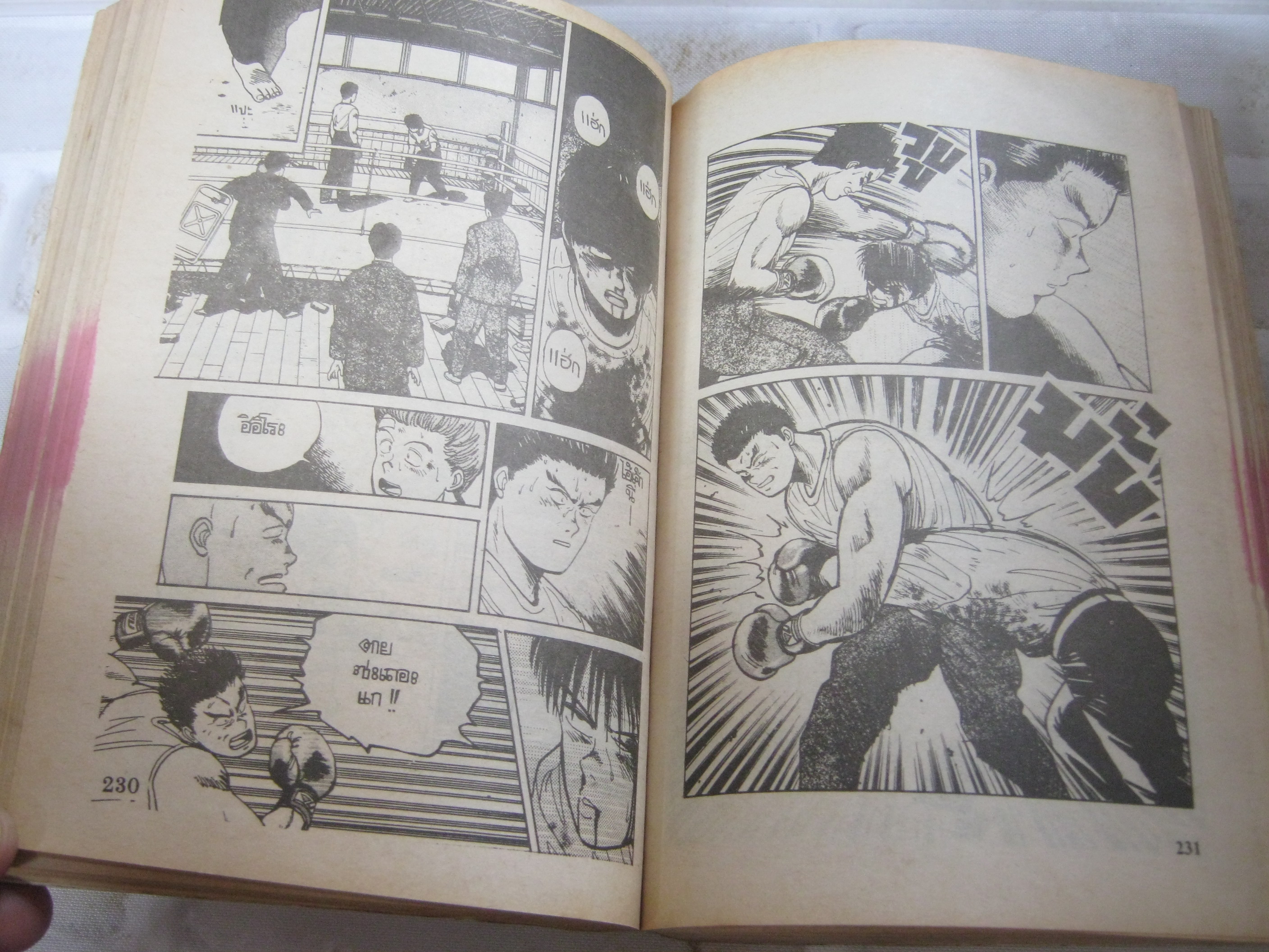 ไอ้คลั่งหมัดโหด เล่มเดียวจบ