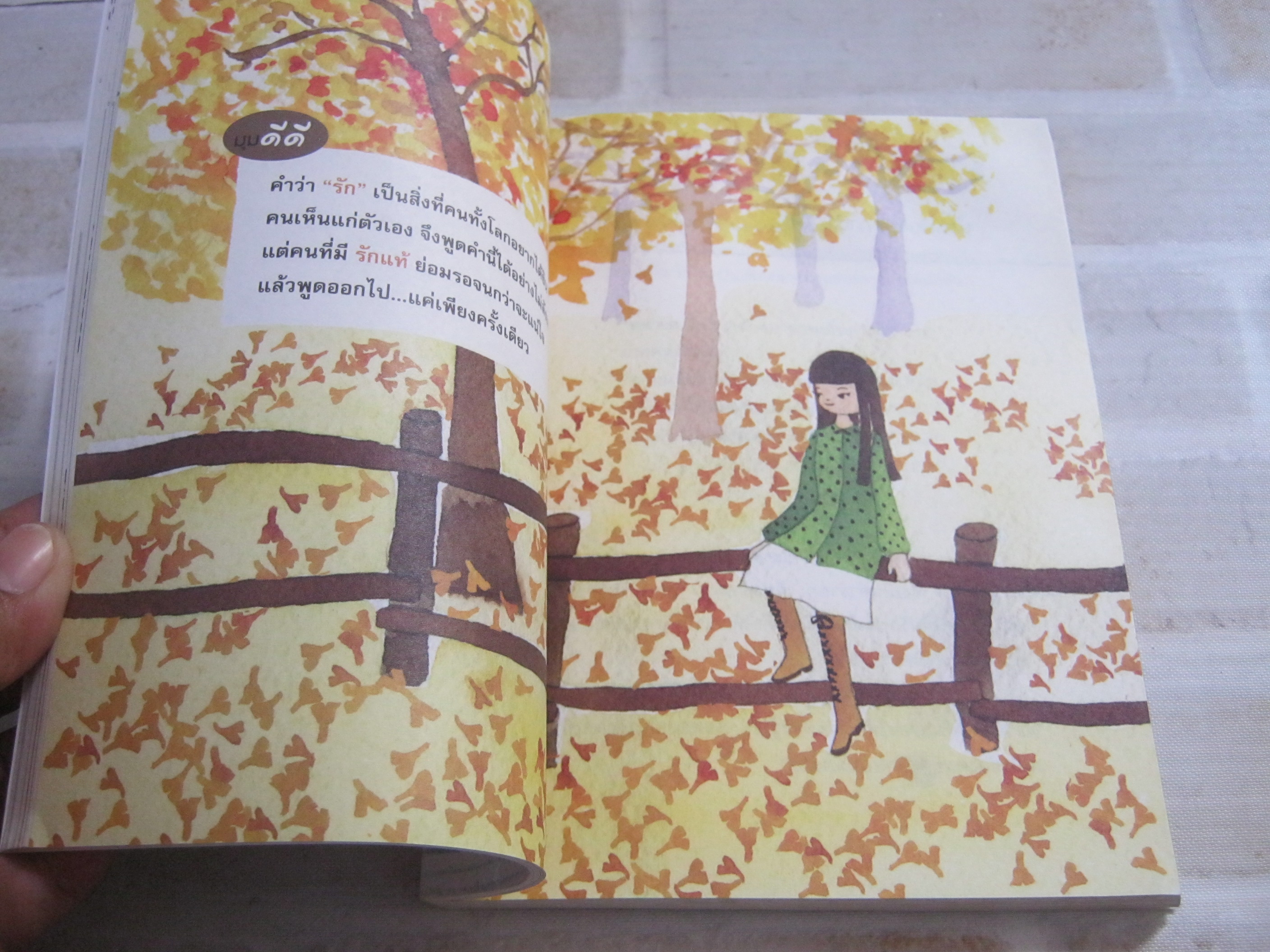 หามุมดีดีไว้ให้รักได้พักพิง พิมพ์ครั้งที่ 2 cartoon เขียน