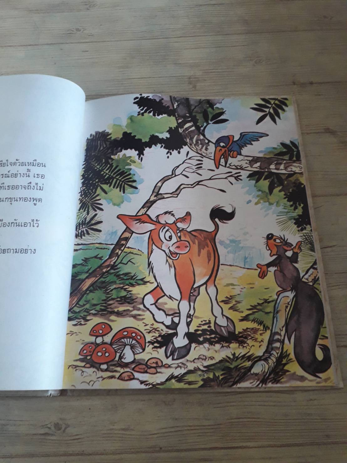 กระทิงน้อย ดร.สัญญา จัตตานนท์ เรื่อง วิน ภาพ