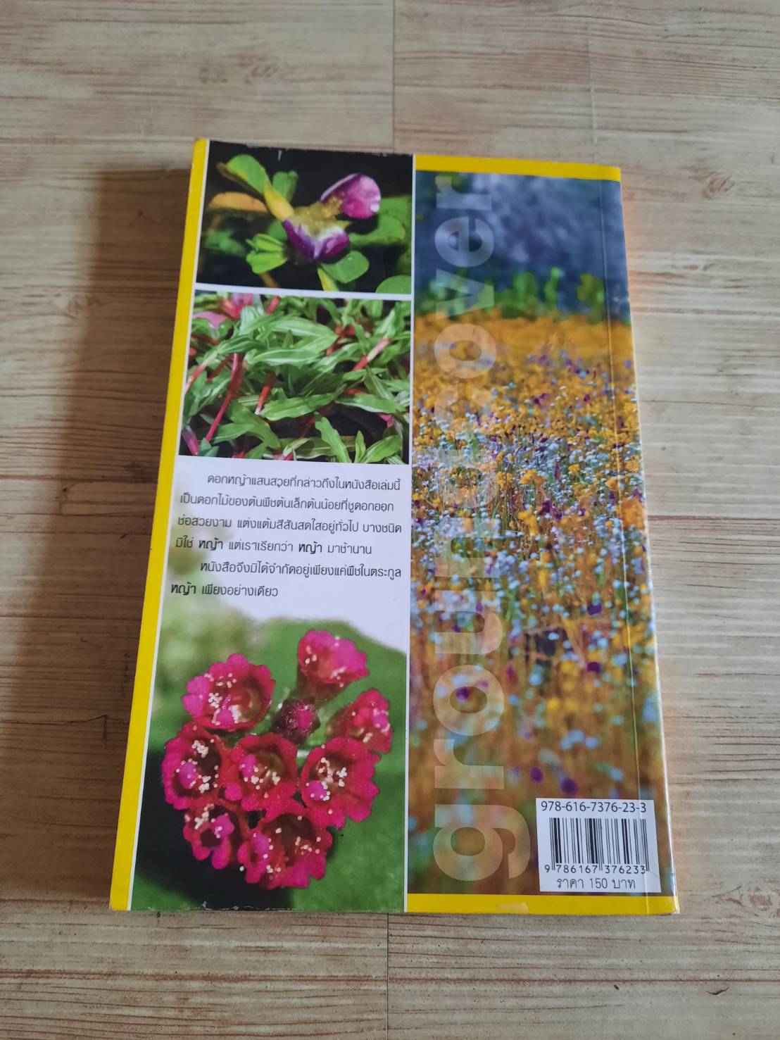 ร้อยพรรณพฤกษา หญ้า พืชคลุมดิน (Groundcover) โดย เศรษฐมันตร์ กาญจนกุล***สินค้าหมด***