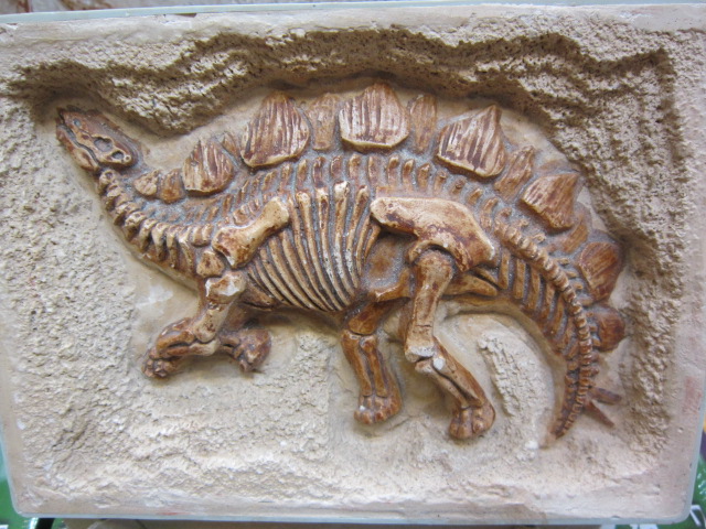 ชุดขุดฟอสซิลไดโนเสาร์(แบบแผ่นฟอสซิลตั้งโชว์) Expedition Excavation Kits