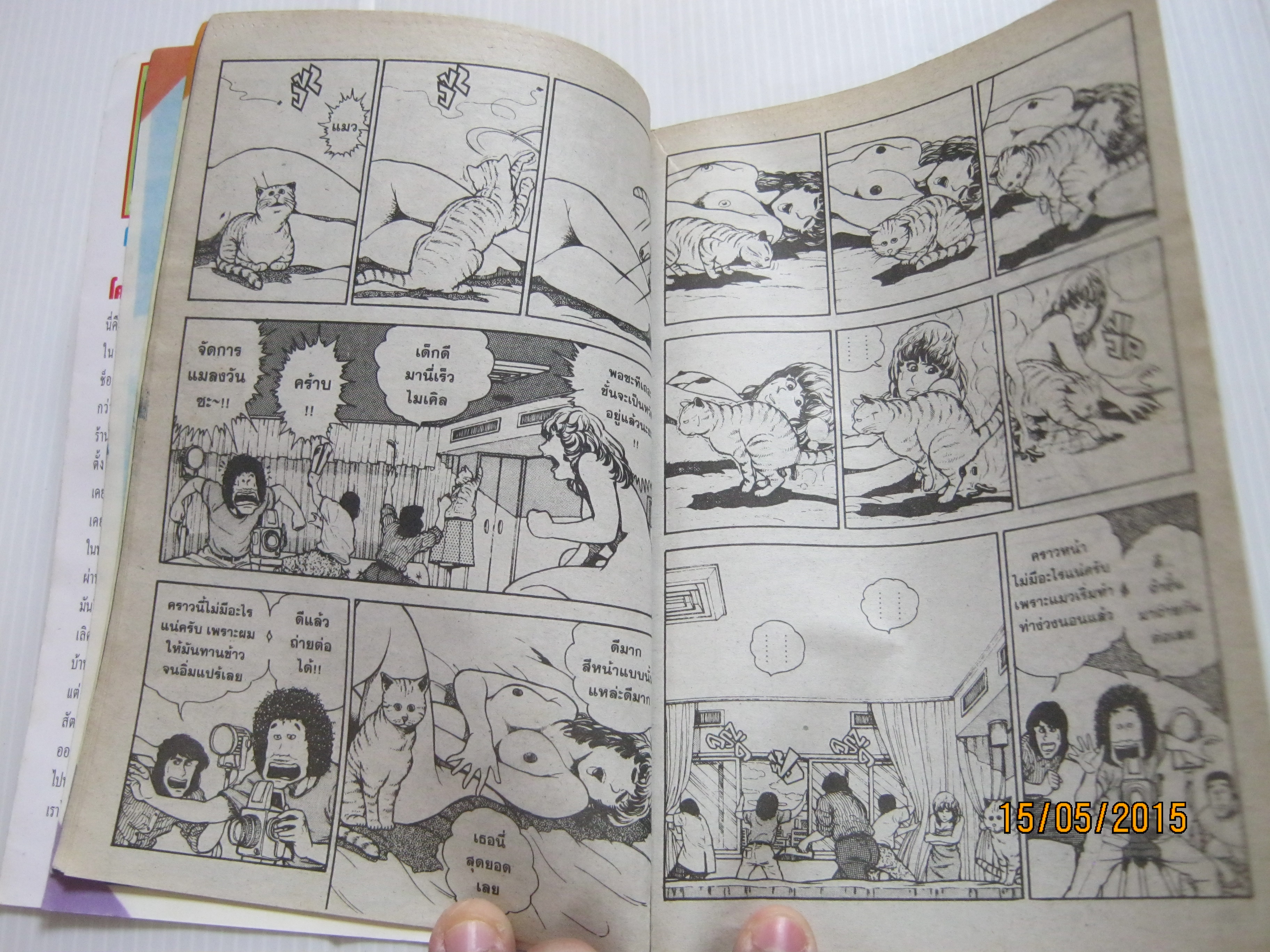 Wha 's Michael ? เหมียวไม่ธรรมดา เล่ม 1