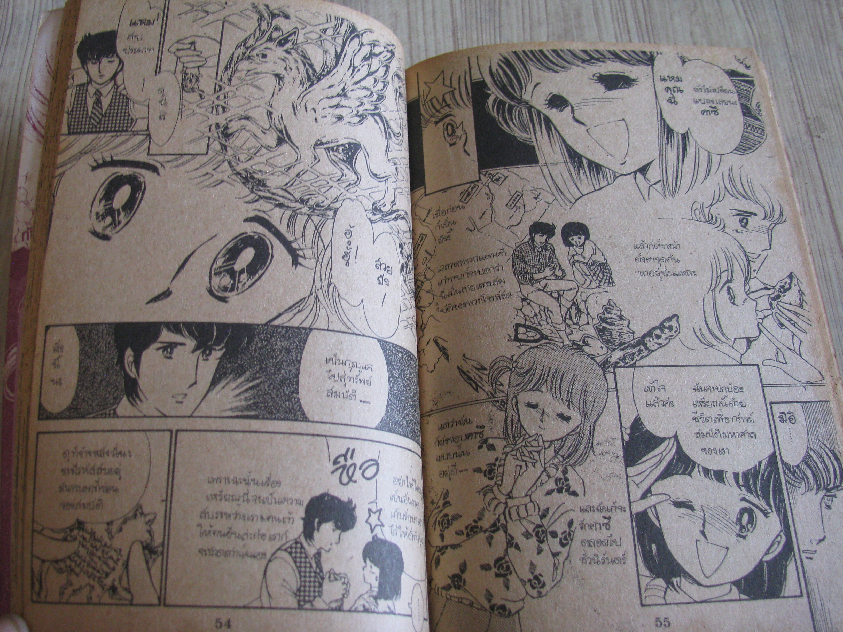 ผจยภัยในความรัก เล่มเดียวจบ อะซากิริ ยู เขียน