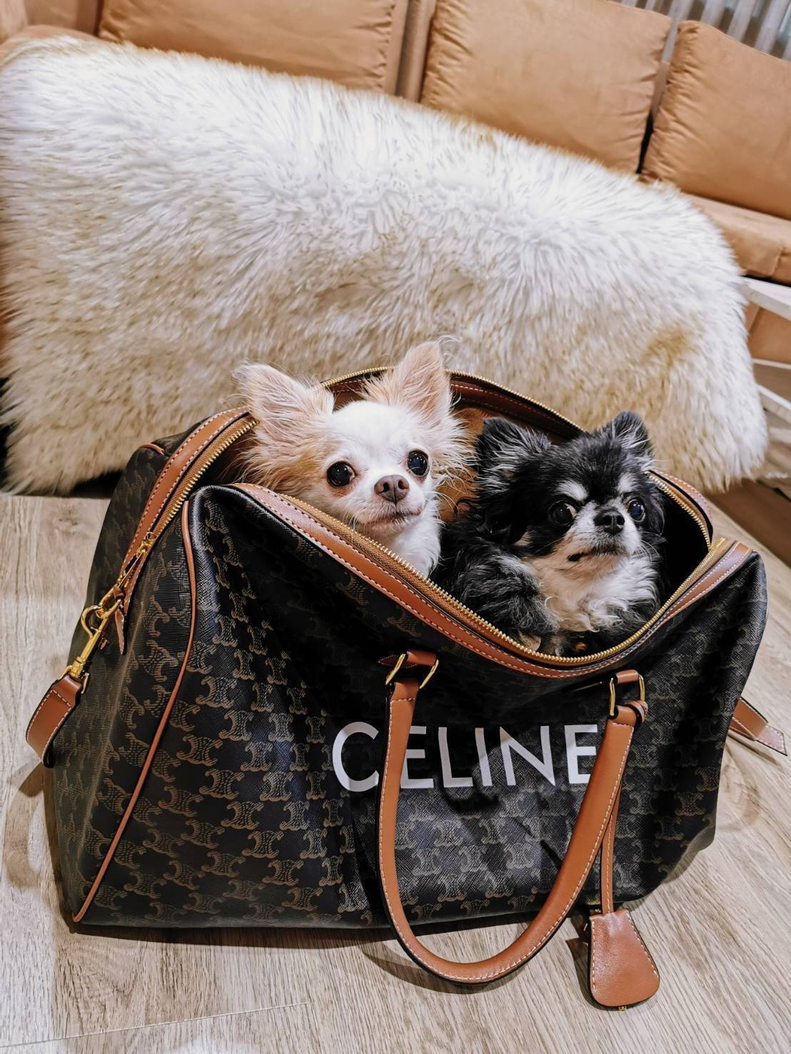 CELINE TRIOMPHE CANVAS BOSTON TRAVEL BAG VIP GIFT WITH PURCHASE (GWP) Limited Edition จาก CELINE PERFUME DUTYFREE วัสดุ TRIOMPHE CANVAS ใบใหญ่จุสัมภาระได้เยอะสุดๆหนังขึ้นลาย Signature สวยหรูสุดคลาสสิค ดีไซน์ไม่มีเอ้าท์ เปิดปิดด้วยซิปแบรนด์พร้อม Tag ห้อยแม