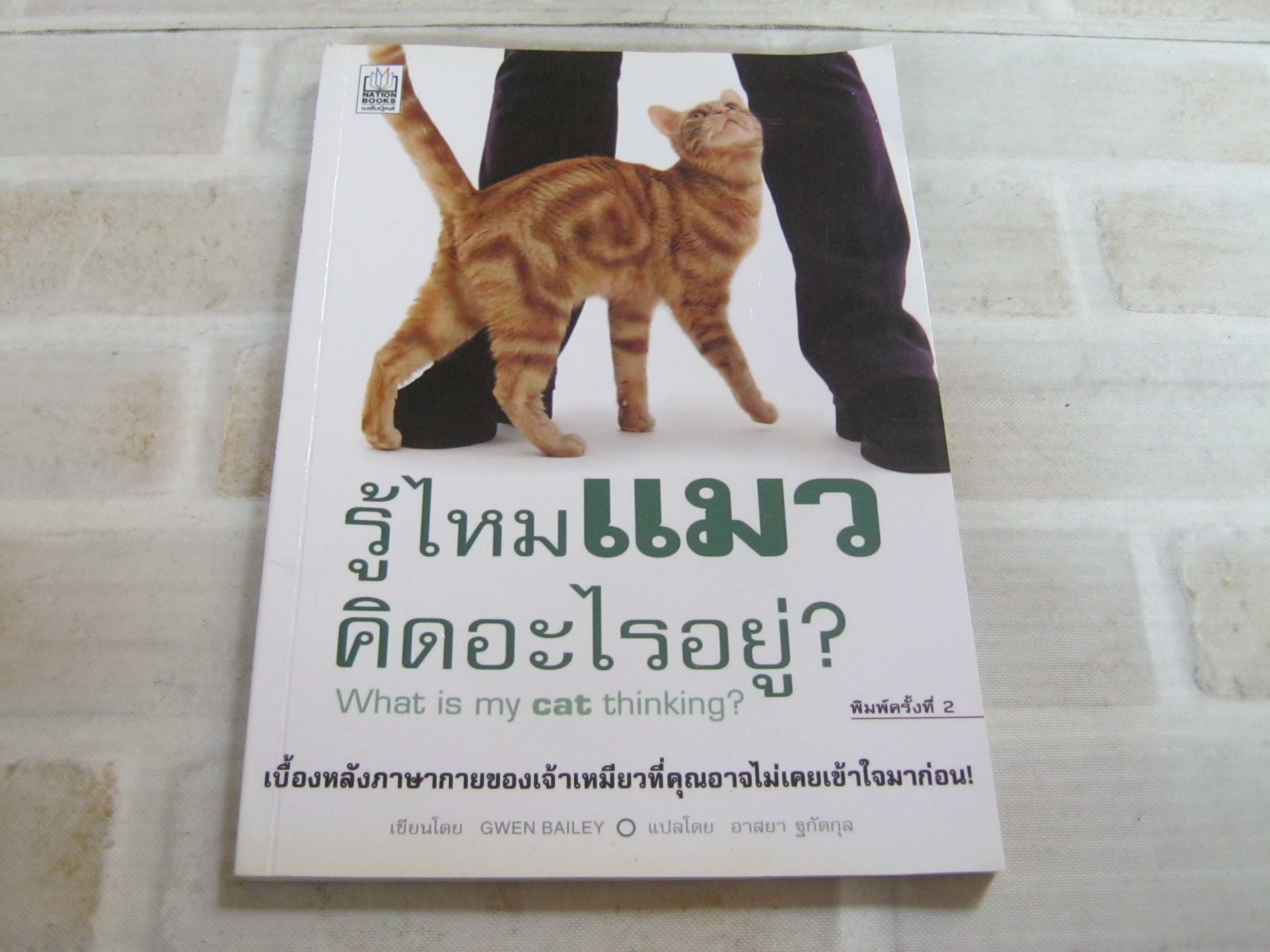 รู้ไหมแมวคิดอะไรอยู่ (What is my cat thinking ?) พิมพ์ครั้งที่ 2 Gwen Bailey เขียน อาสยา ฐกัตกุล แปล***สินค้าหมด***