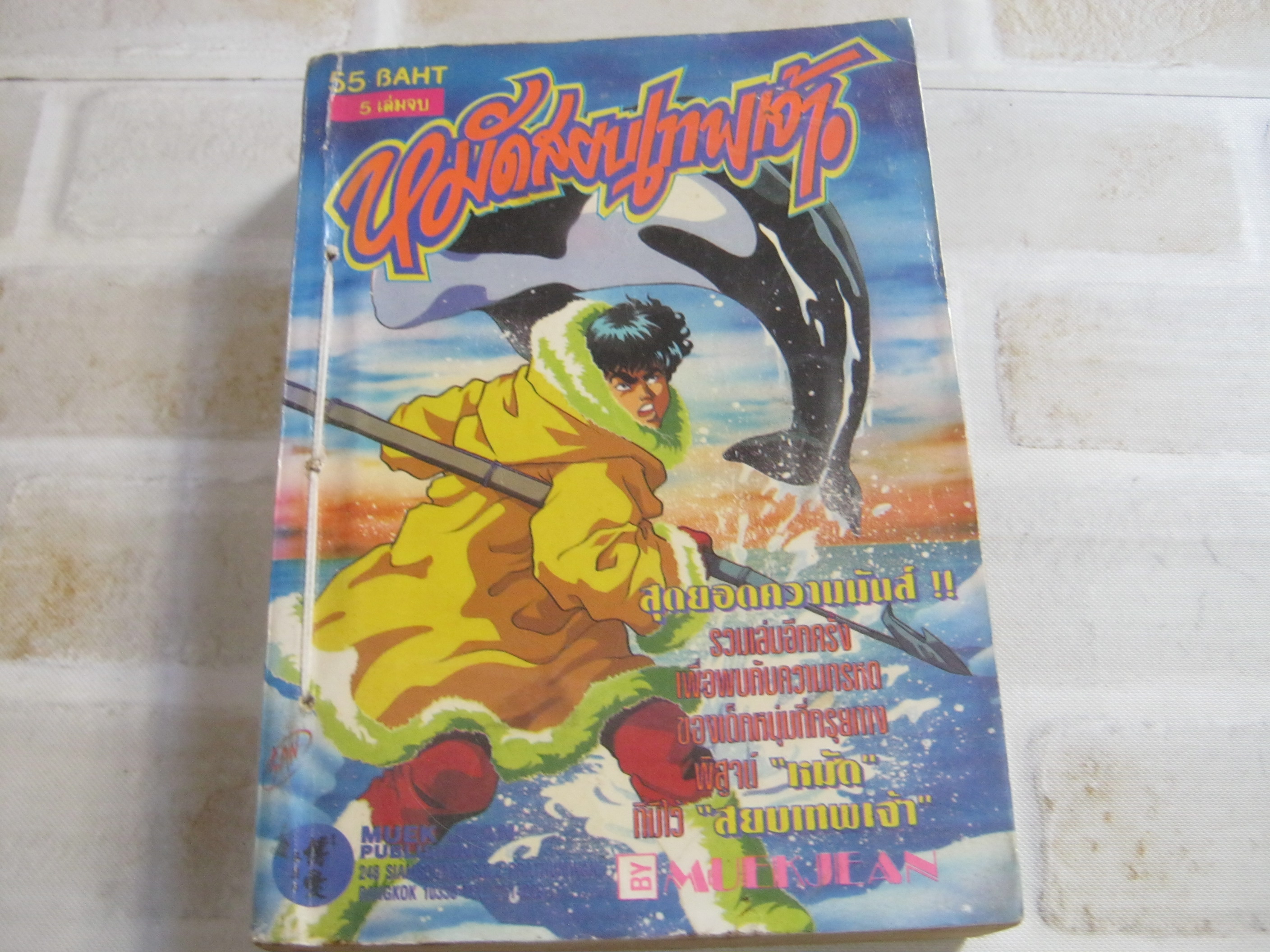 หมัดสยบเทพเจ้า เล่ม 1 ( 5 เล่มจบ )***สินค้าหมด***